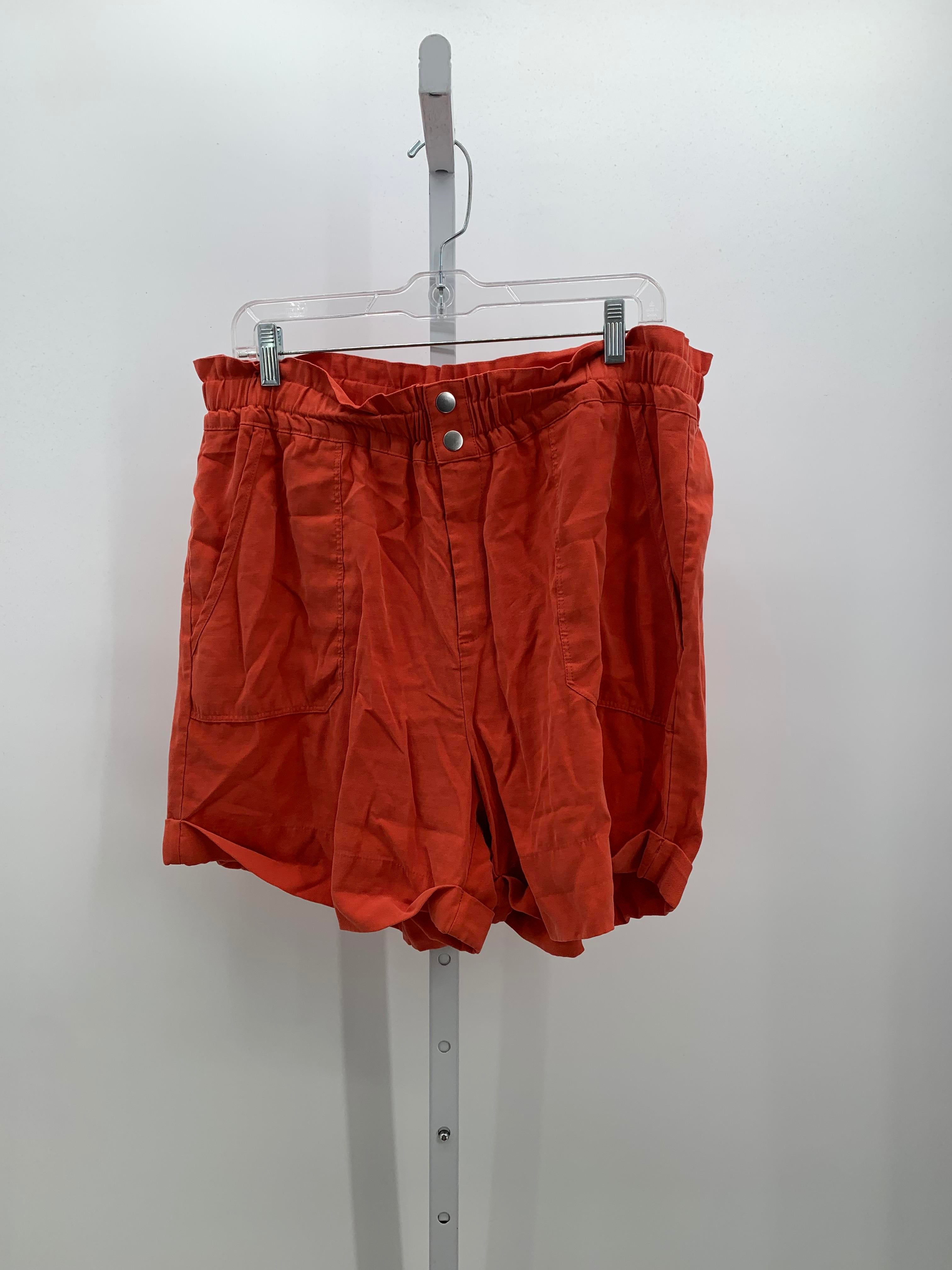 INC Size 16 Misses Shorts