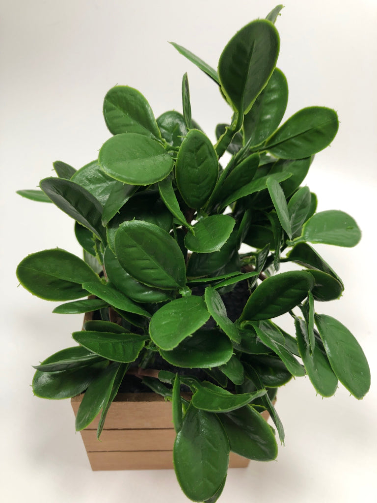 SM FAUX GREENERY.