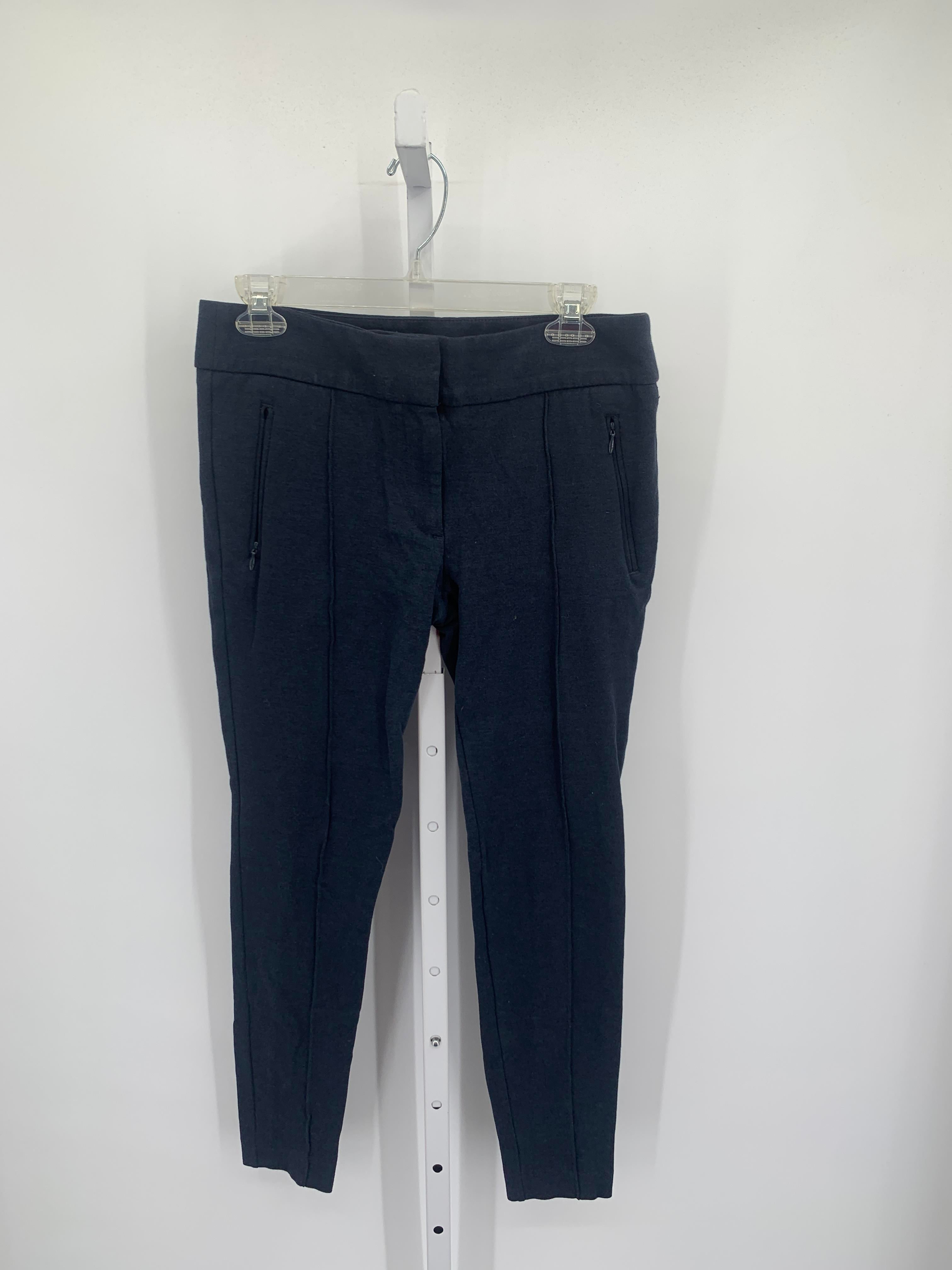 Loft Size 6 Misses Pants