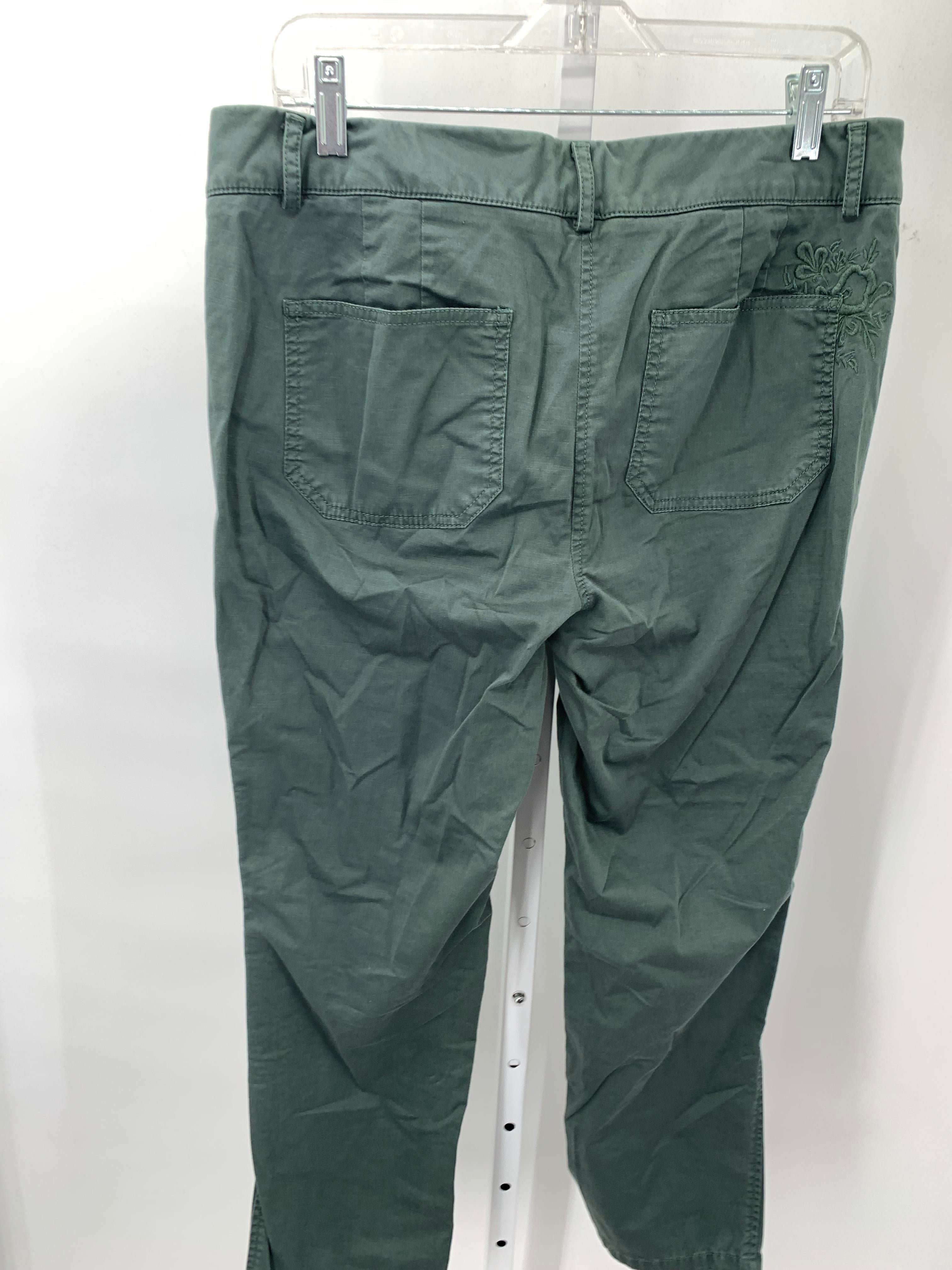 Loft Size 8 Misses Pants