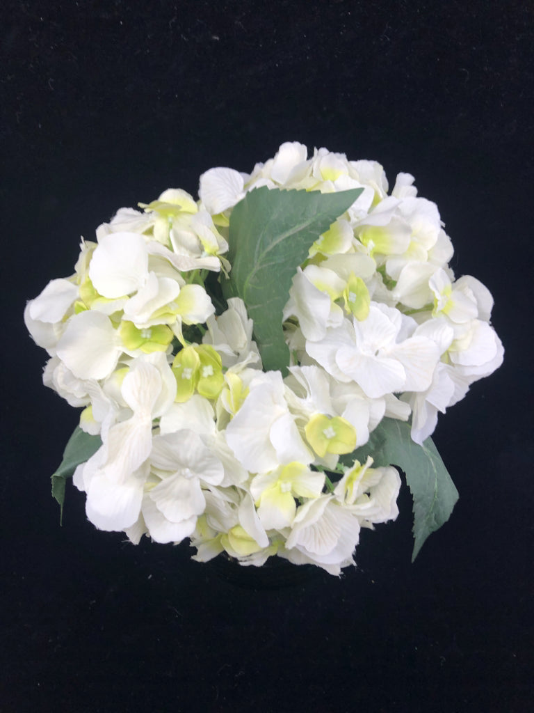 CYLINDER GLASS VASE W/WHITE HYDRANBGEA FLOWERS.