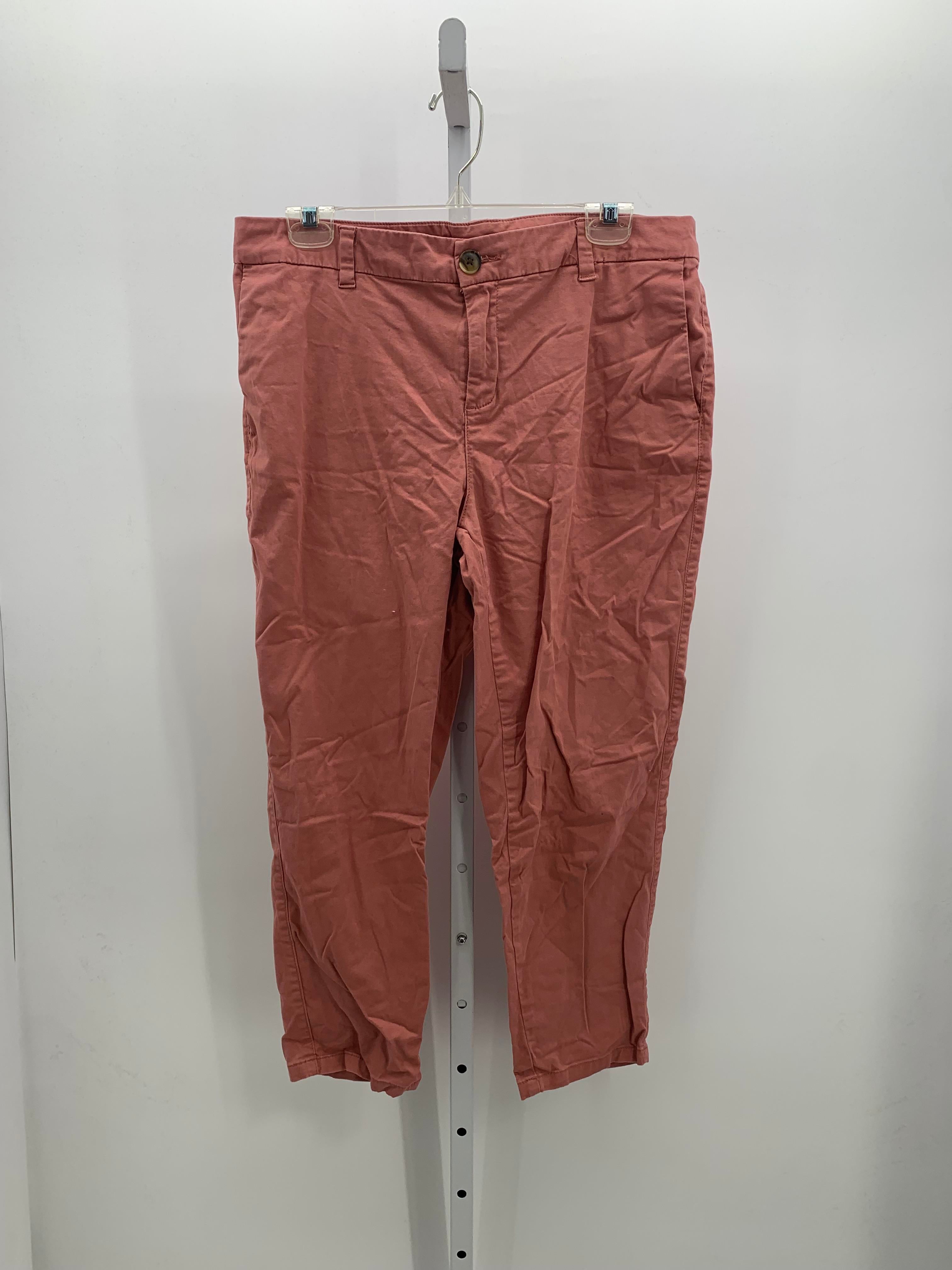 Style & Co. Size 14 Petite Petite Pants