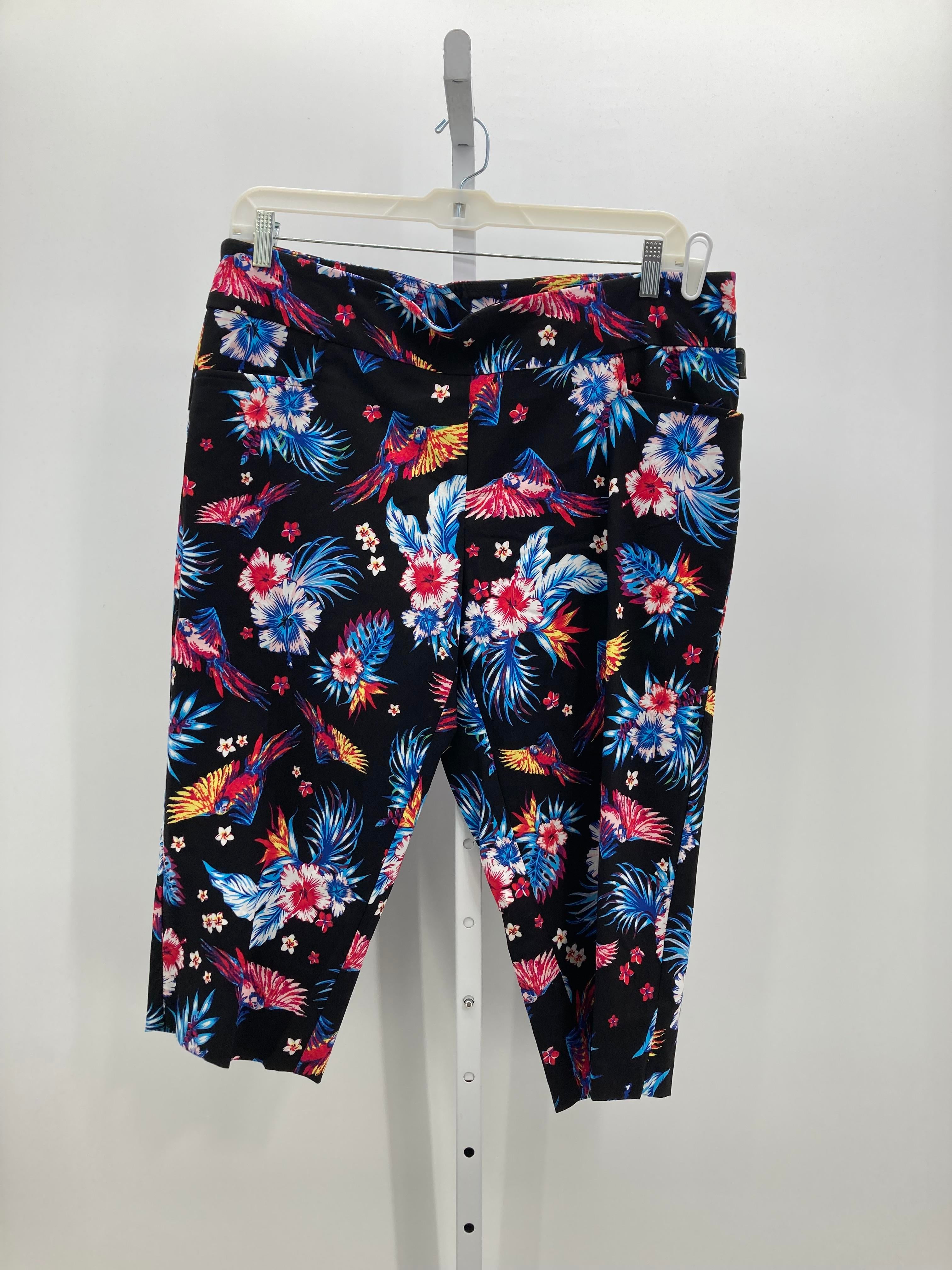 Terra & Sky Size 1X Womens Capri Pants