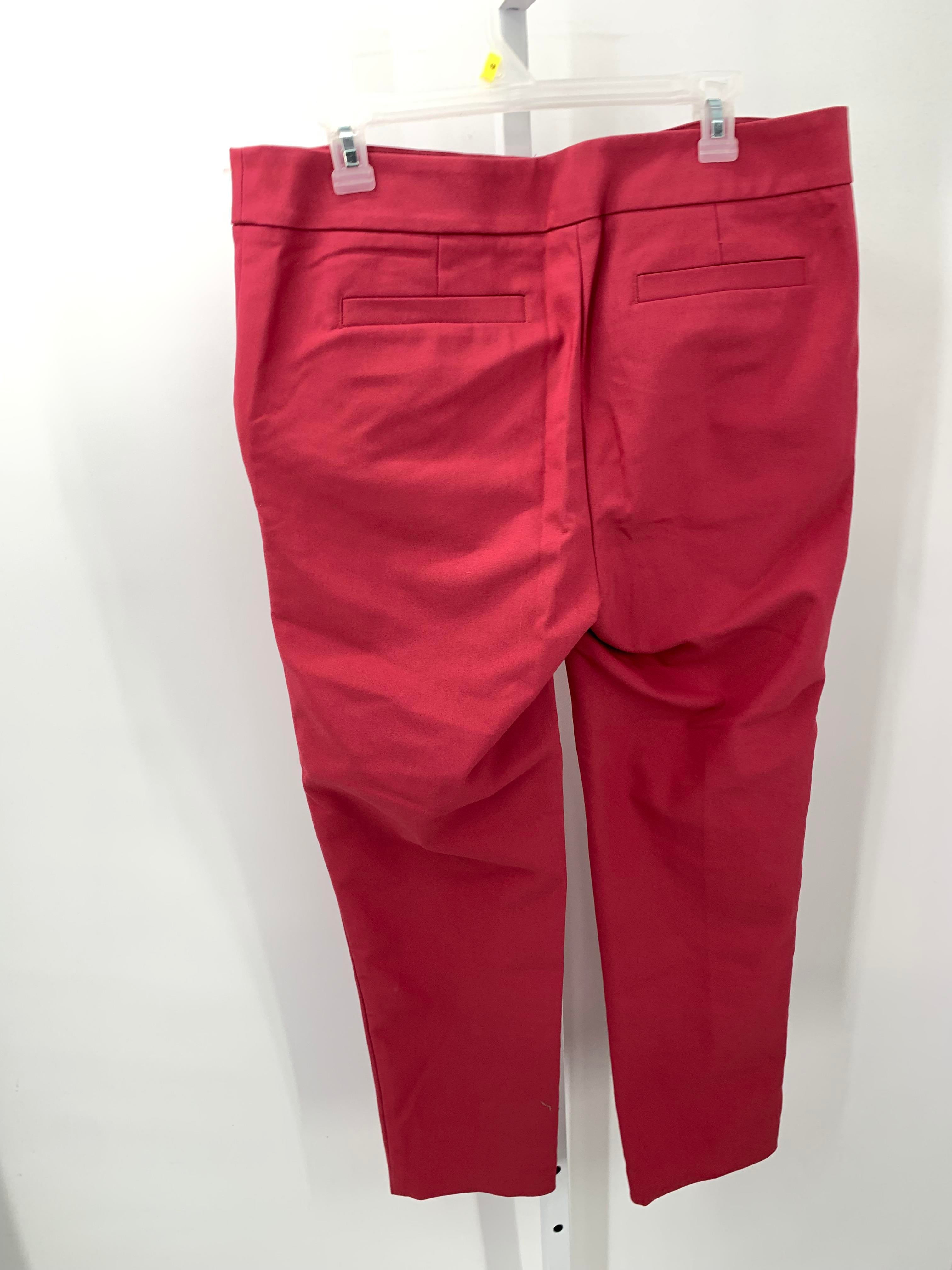 Loft Size 12 Misses Pants