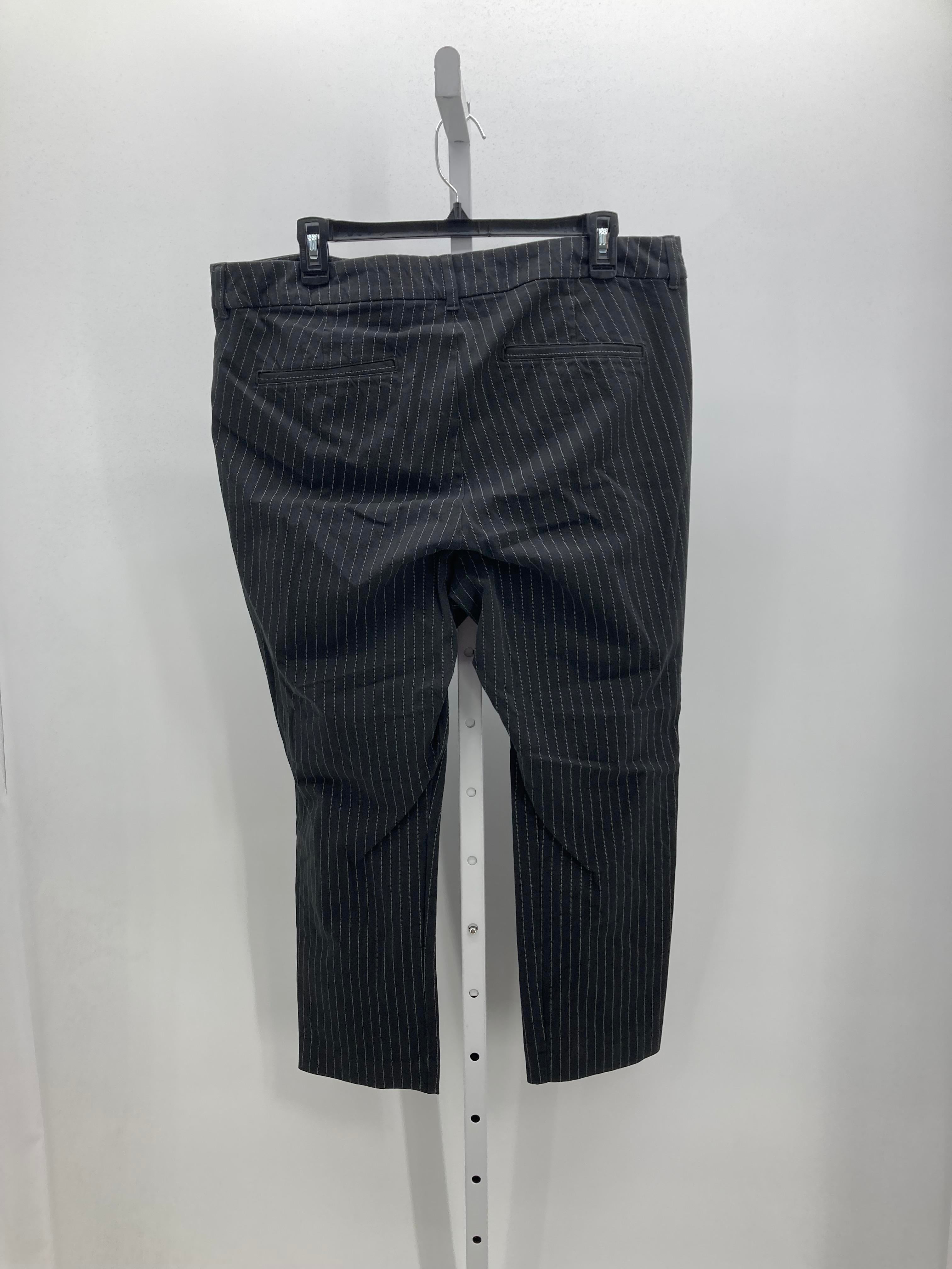 Old Navy Size 16 Misses Pants