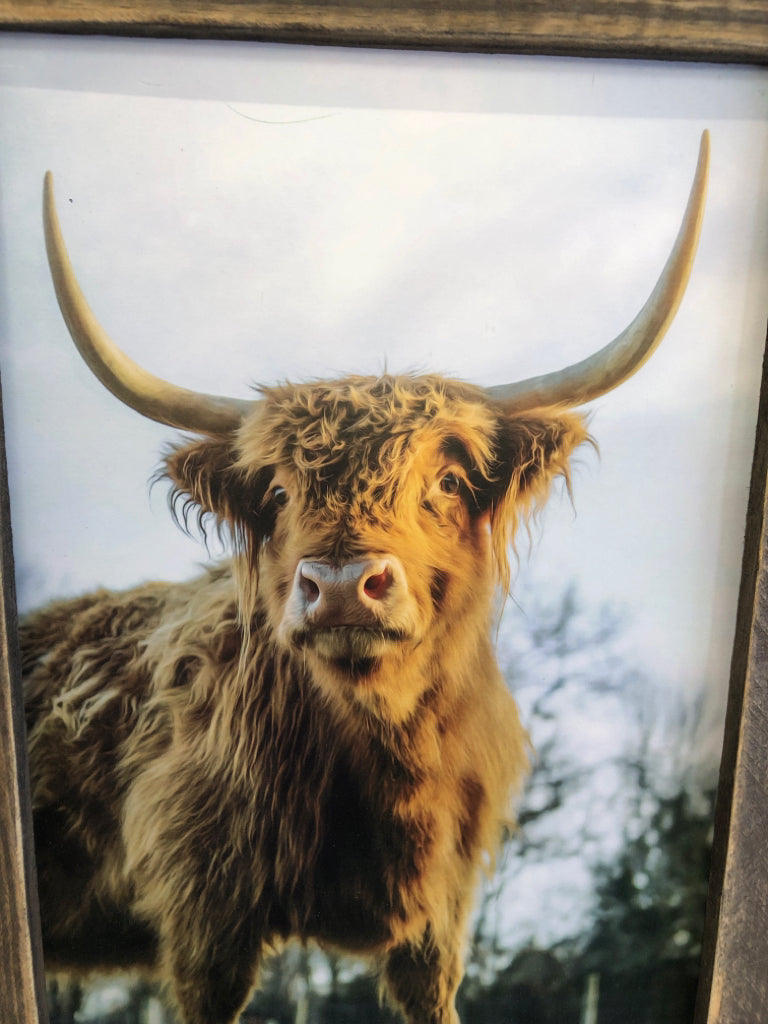 BROWN COW DISTRESSED WOOD FRAME WALL HANGING.