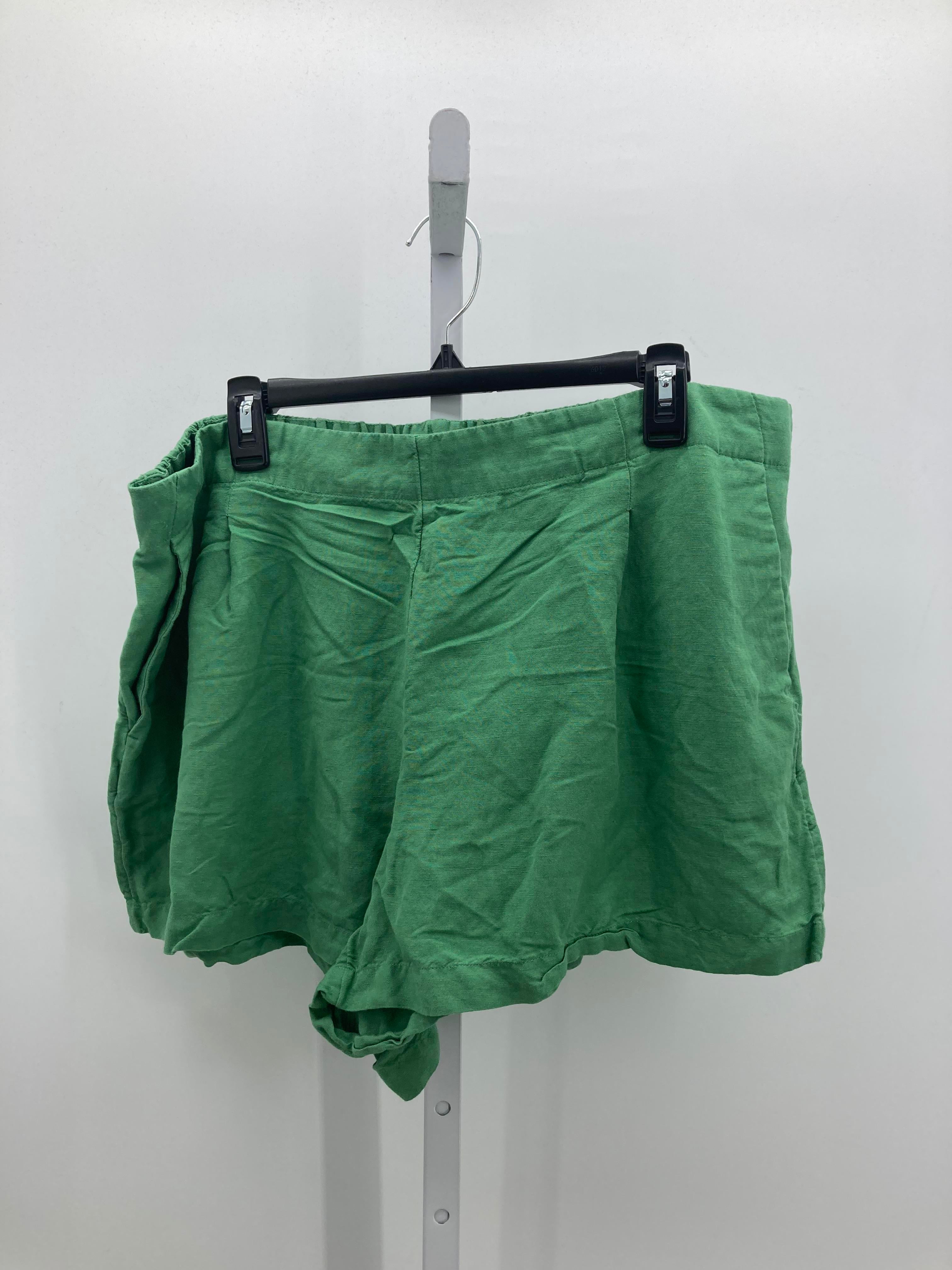 Loft Size XXL Misses Shorts
