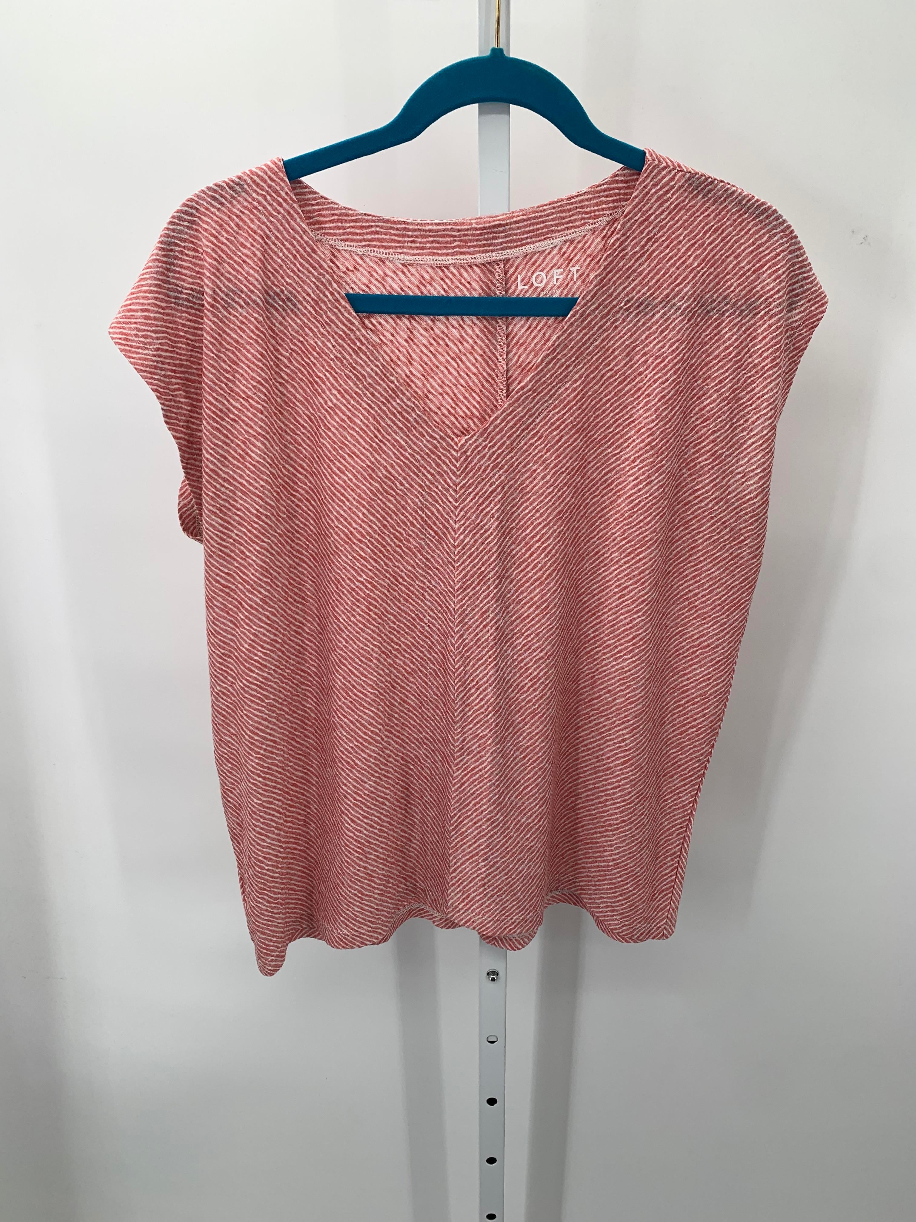 Loft Size Medium Misses Short Sleeve Shirt