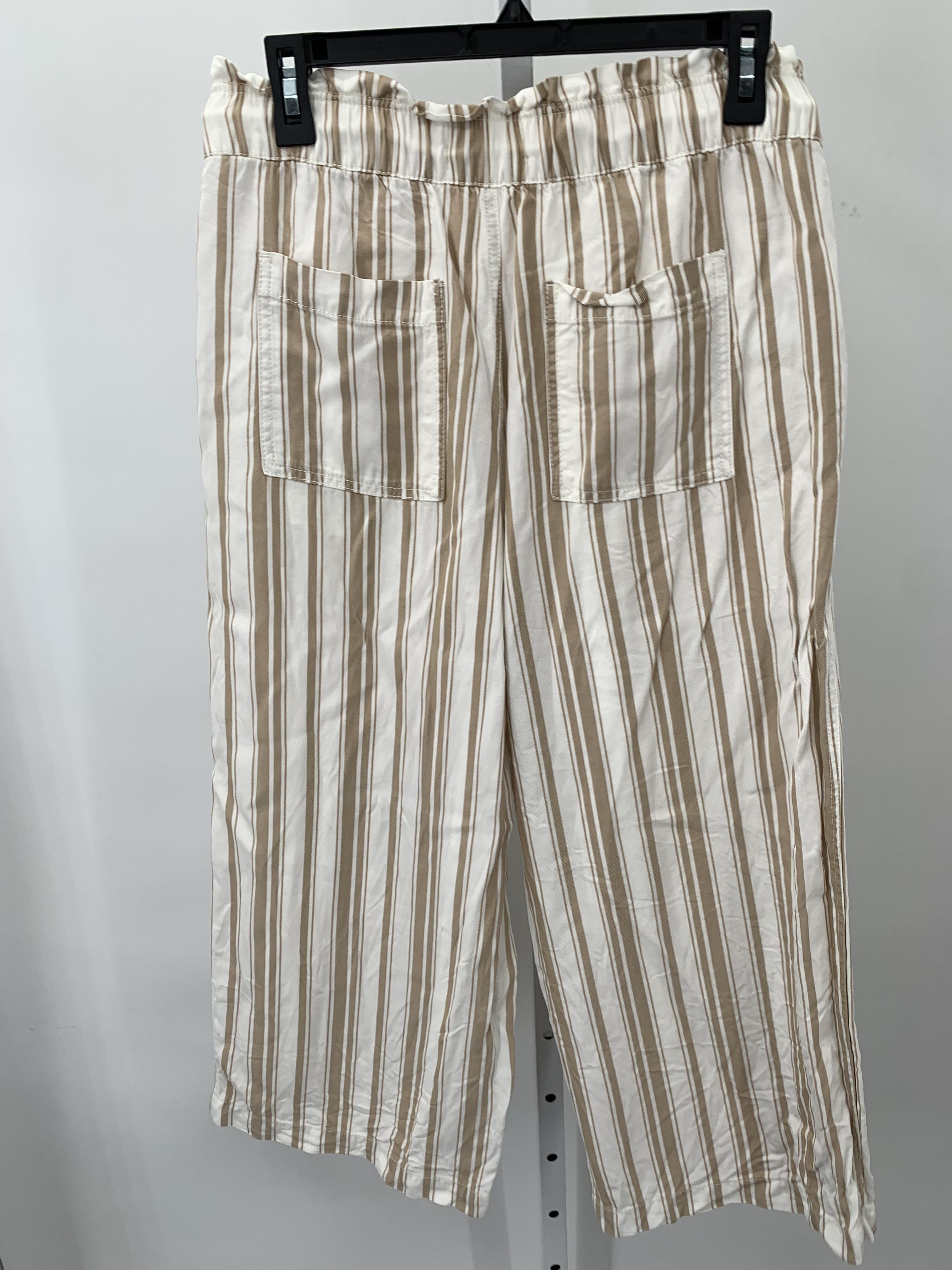 Loft Size Medium Petite Petite Pants