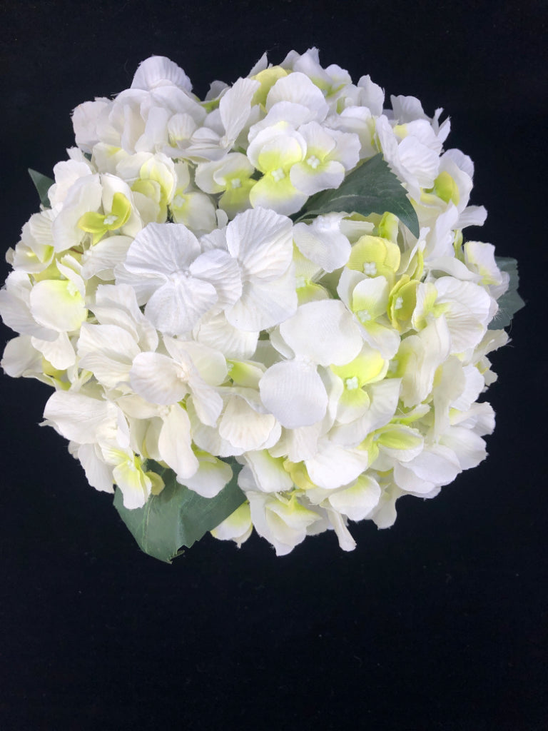 CYLINDER GLASS VASE W/WHITE HYDRANBGEA FLOWERS.