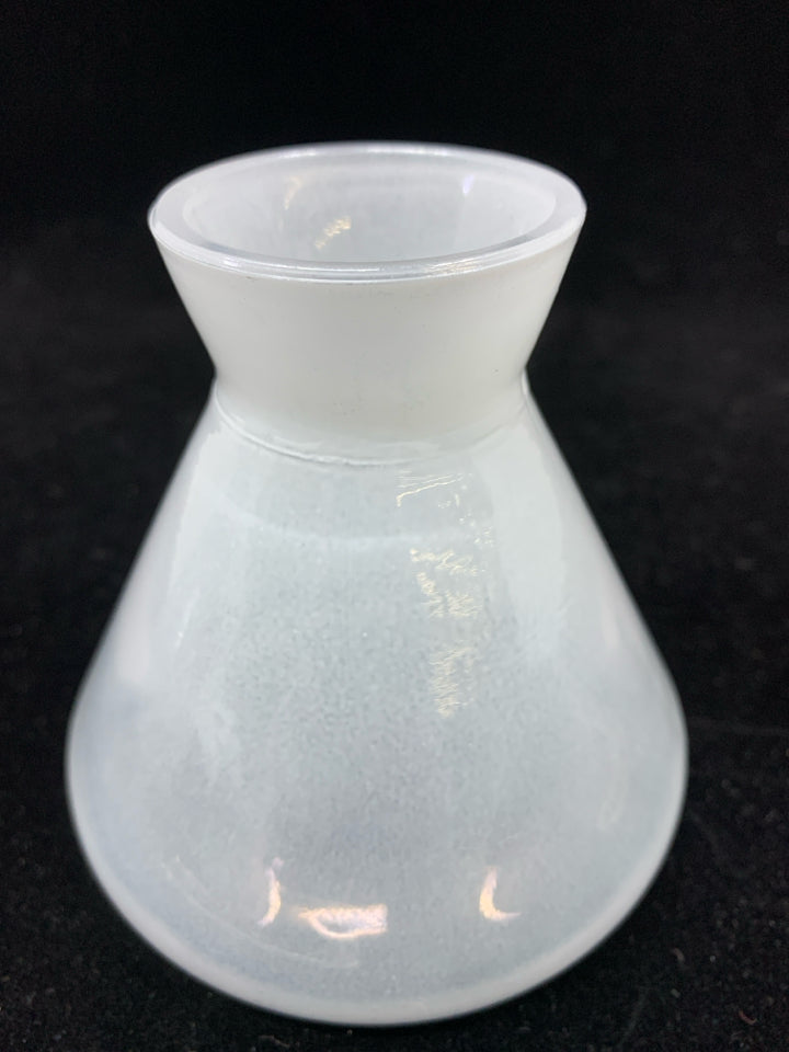 OPAQUE SMALL AVOCADO SEED STARTER.