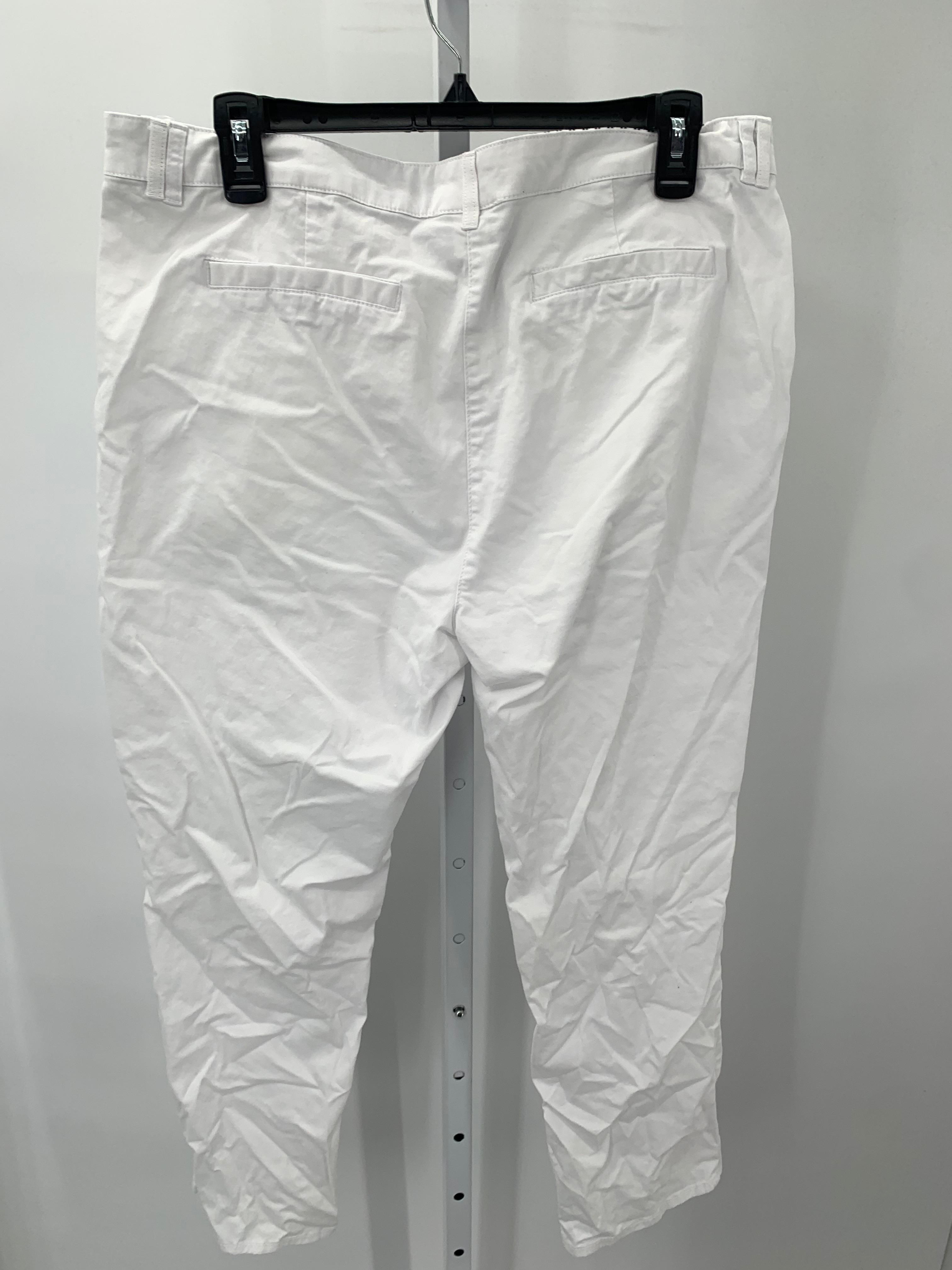 Tribal Size 12 Misses Pants