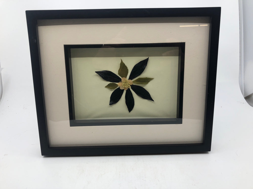 DRIED FLORAL IN BLACK FRAME.