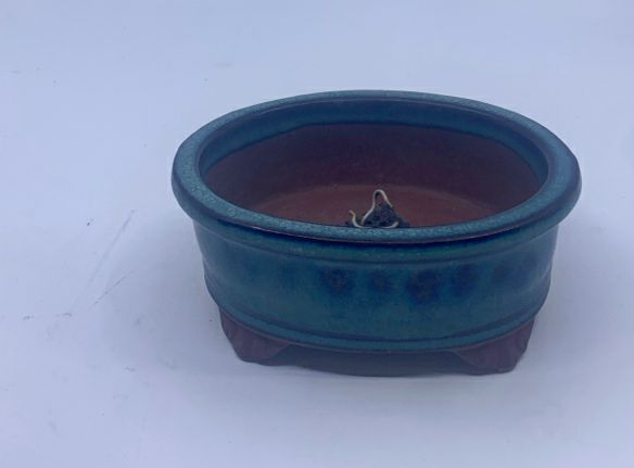 OVAL GREEN SHALLOW PLANTER.