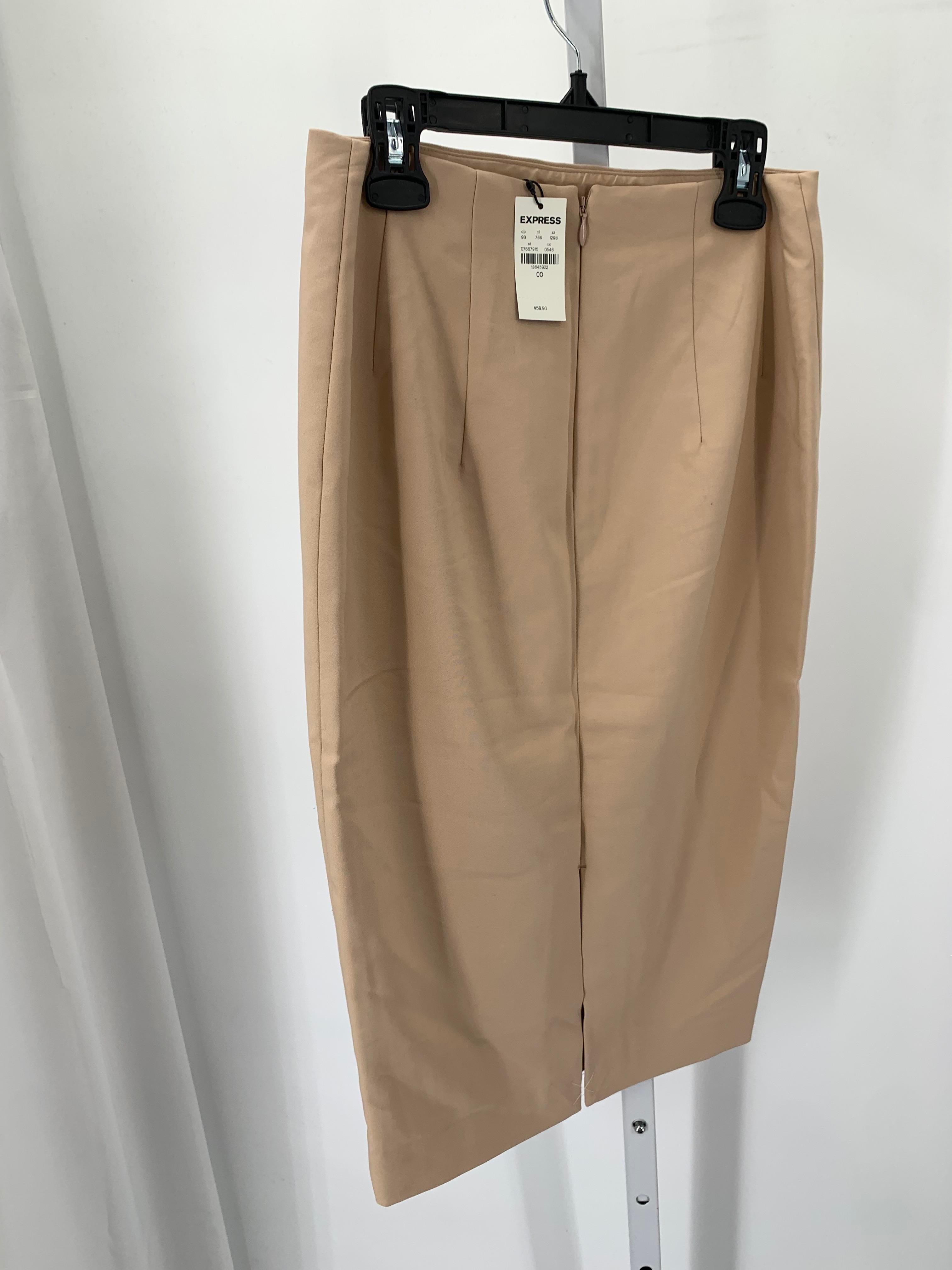 Express Size 00 Misses Skirt