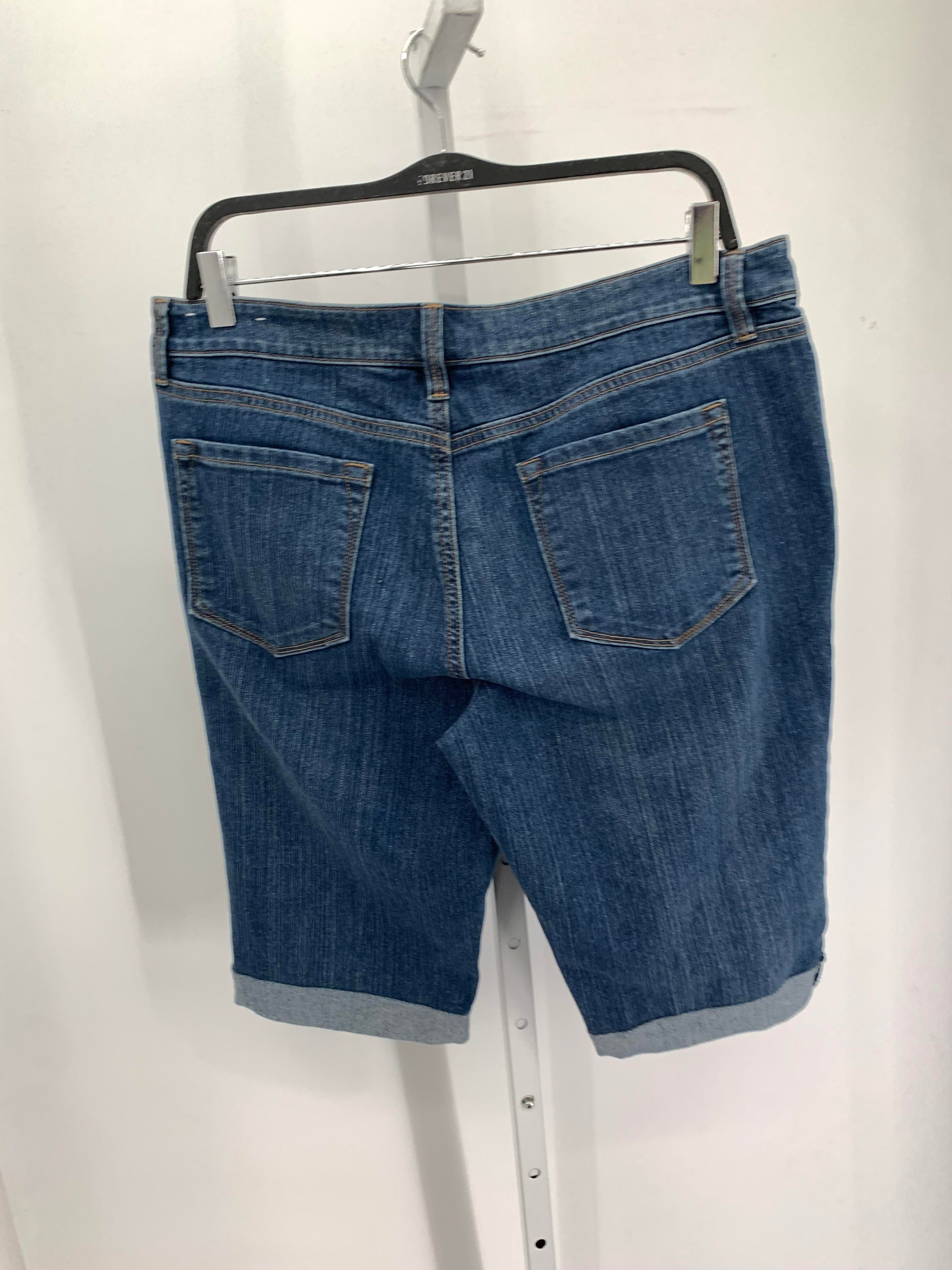 Loft Size 14 Misses Shorts
