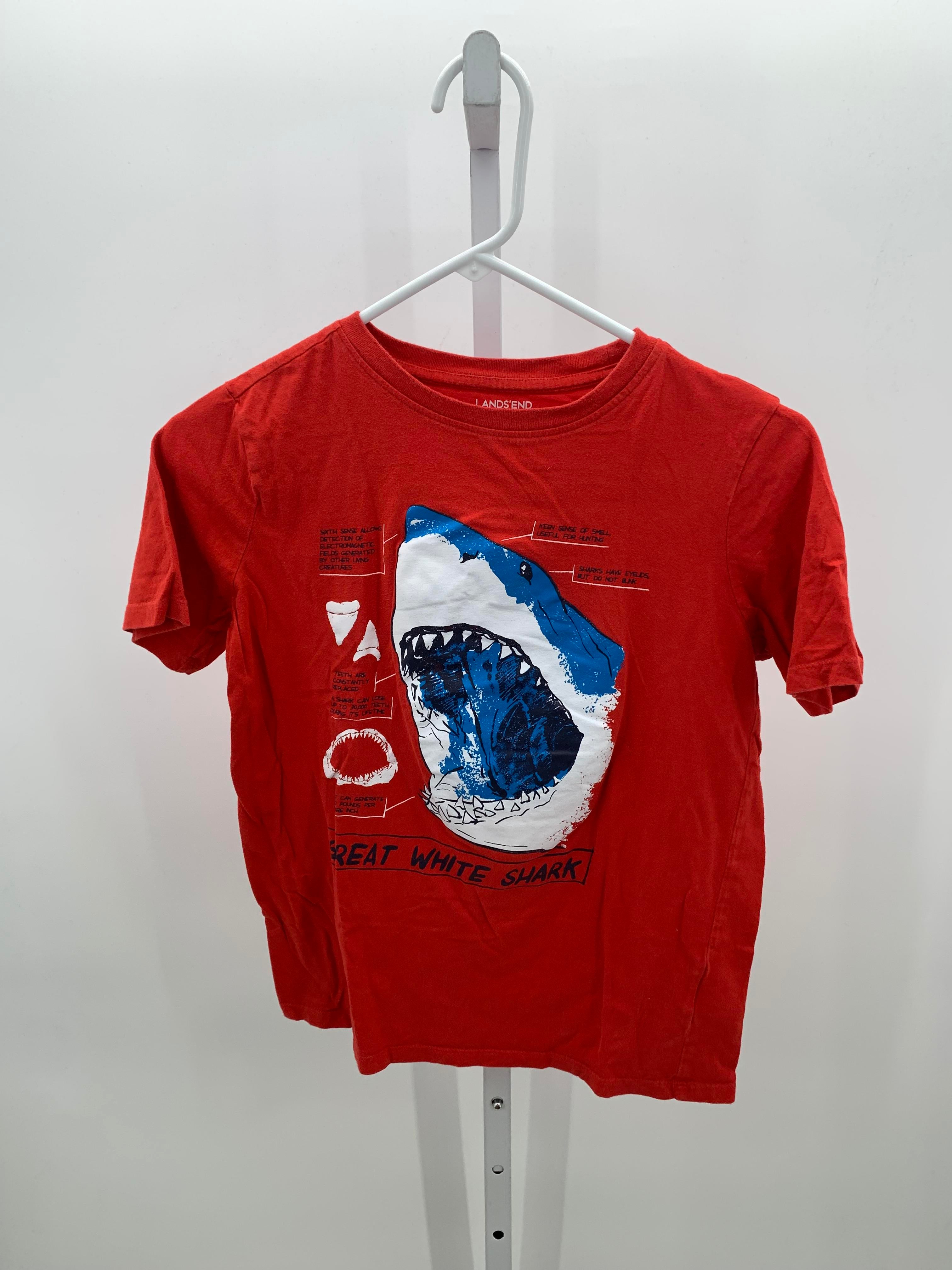 GREAT WHITE SHARK
