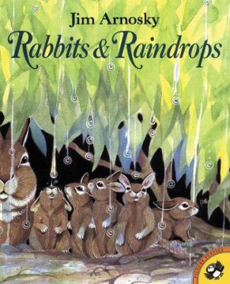 Rabbits and Raindrops - (Picture Puffin Books) by Jim Arnosky (Paperback) -