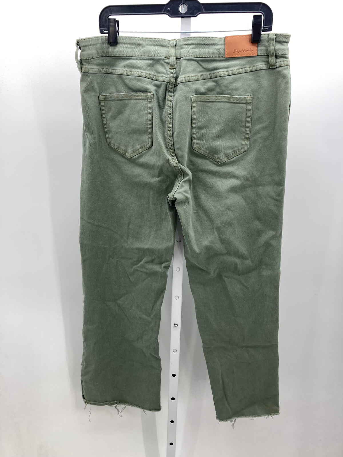 Size 12 Misses Jeans