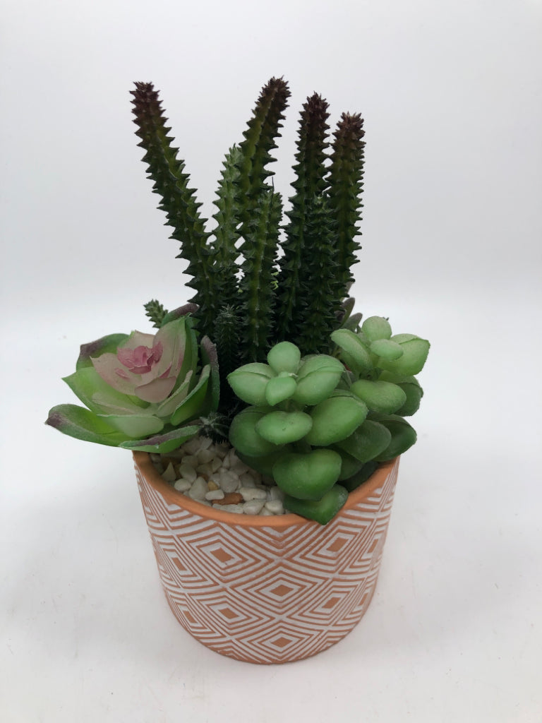 SUCCULENT & CACTUS WHITE/ORANGE GEOMETRIC POT.