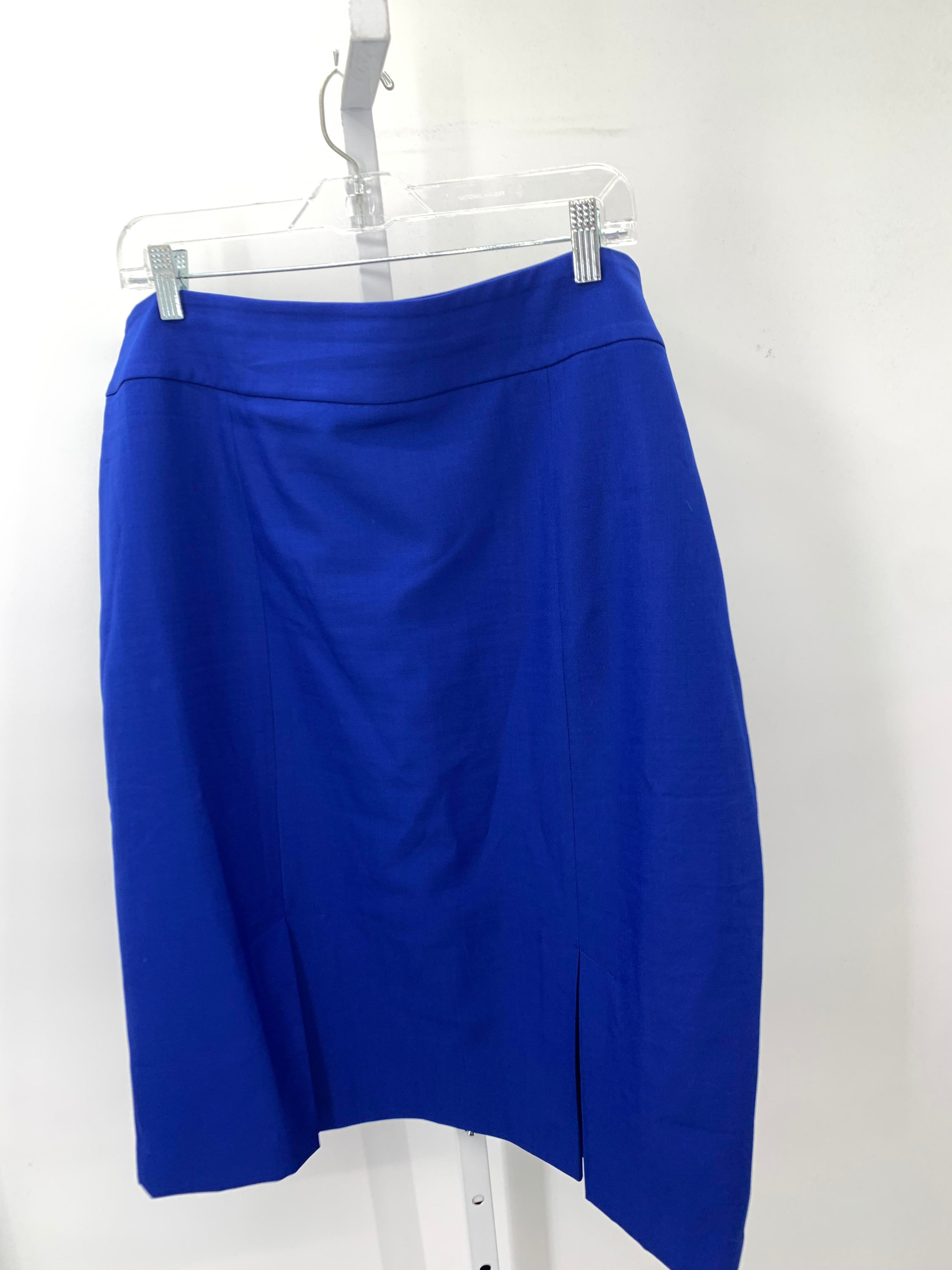 Evan-Picone Size 18 Misses Skirt