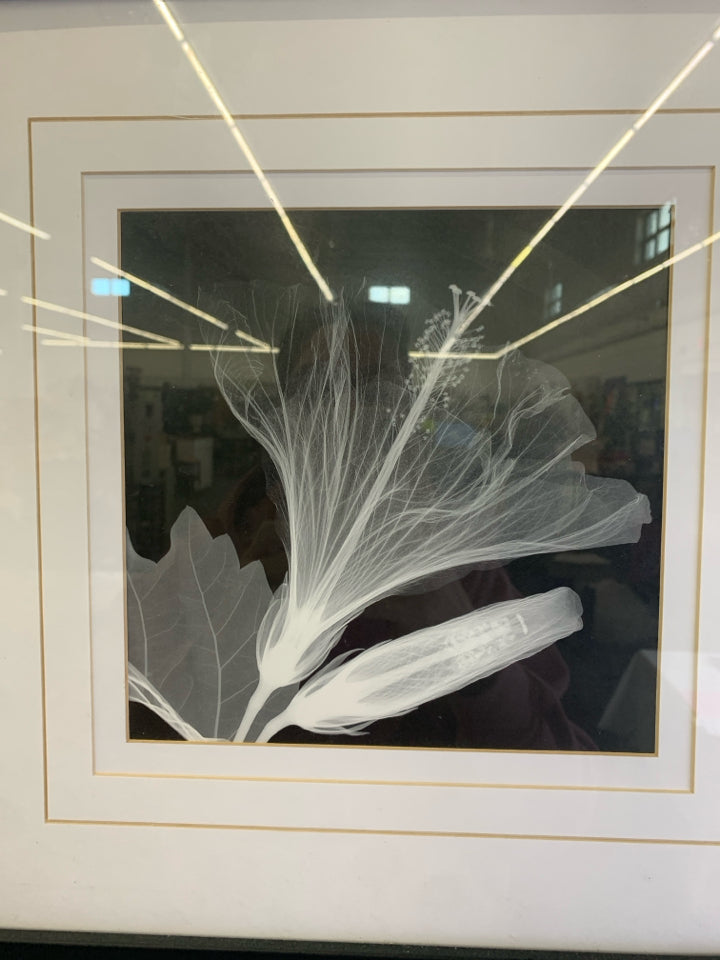 BLACK AND WHITE FLORAL IN BLACK FRAME WALL ART.