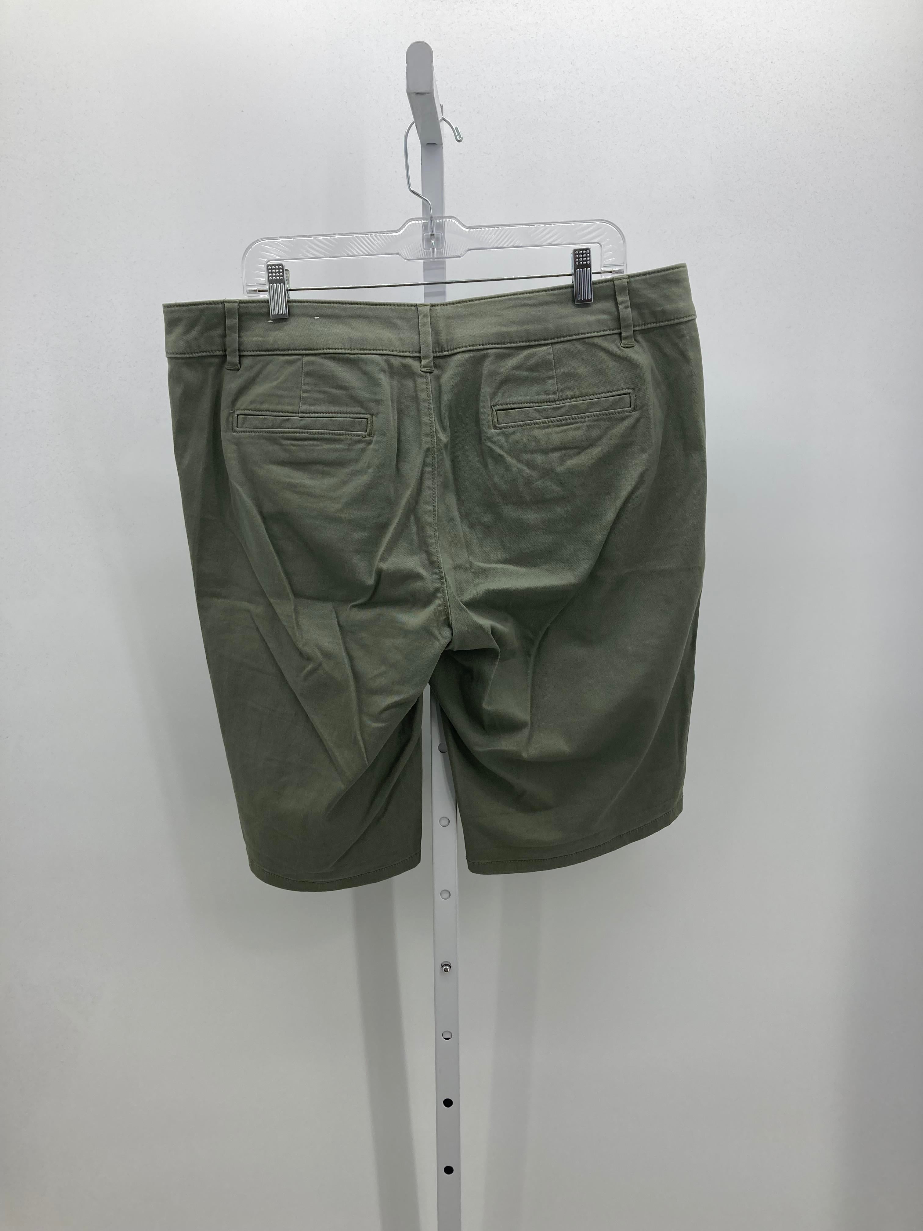 Loft Size 14 Misses Shorts