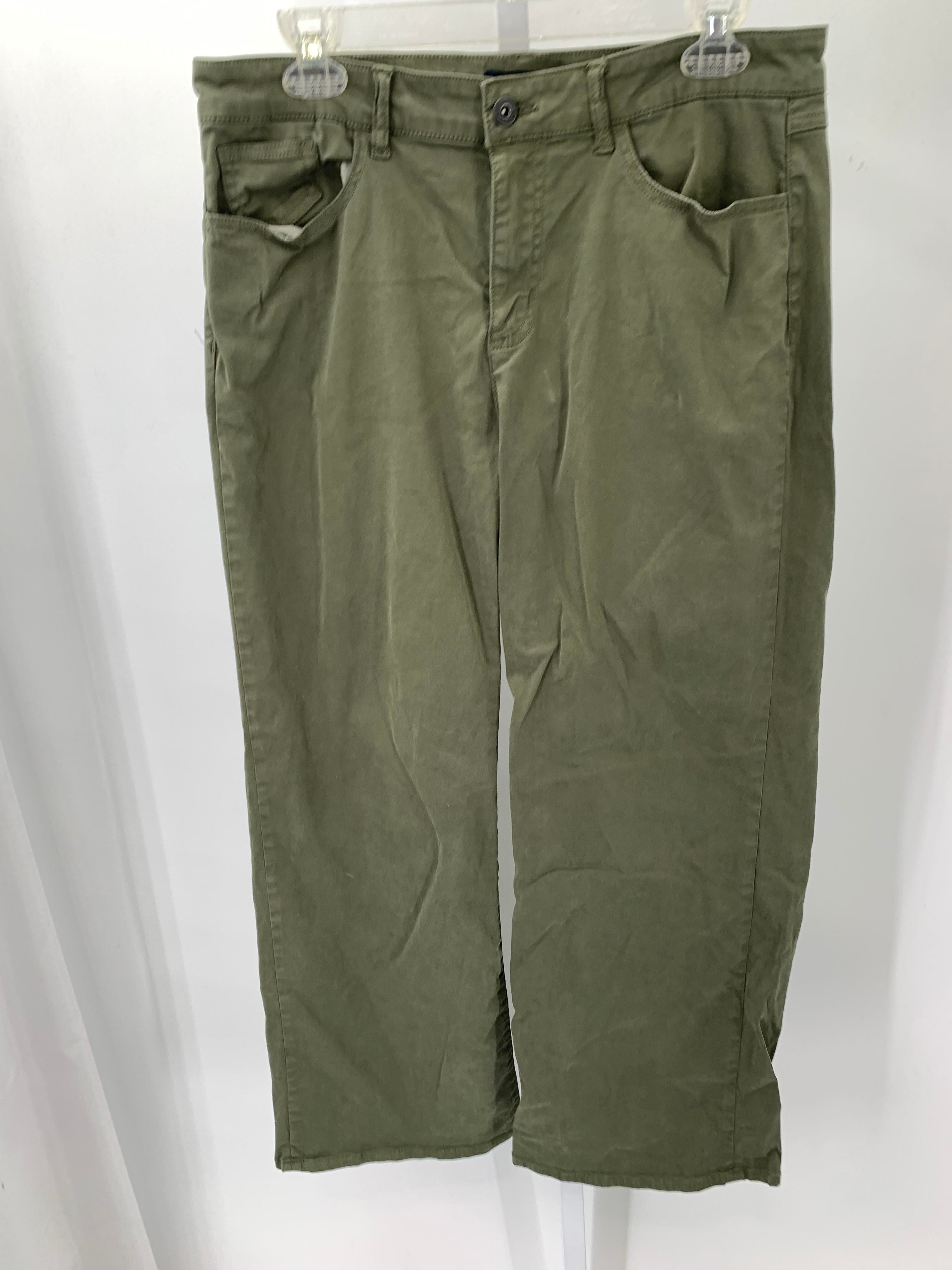 Size 10 Misses Pants