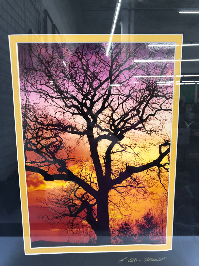 OMBRE SKY W BARE TREE WALL ART.