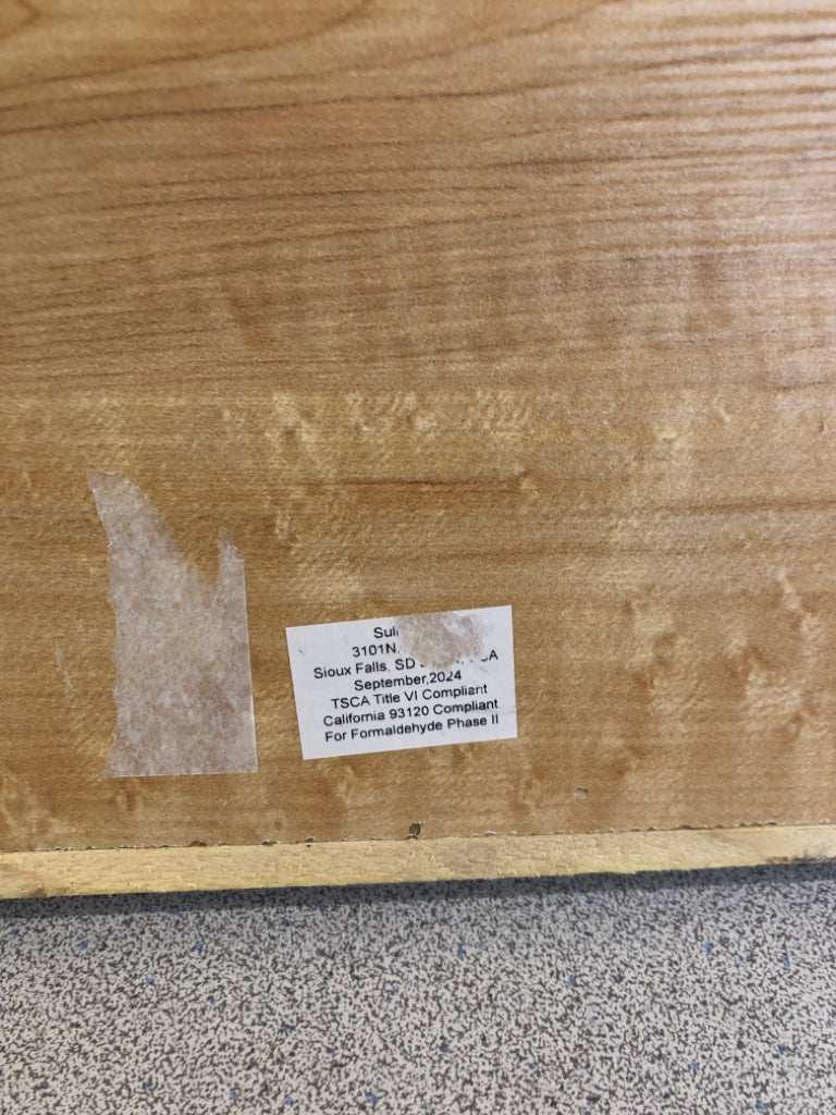 WHITE FERN PAINTED ON WOOD SHADOWBOX, WHITE WASH FRAME.