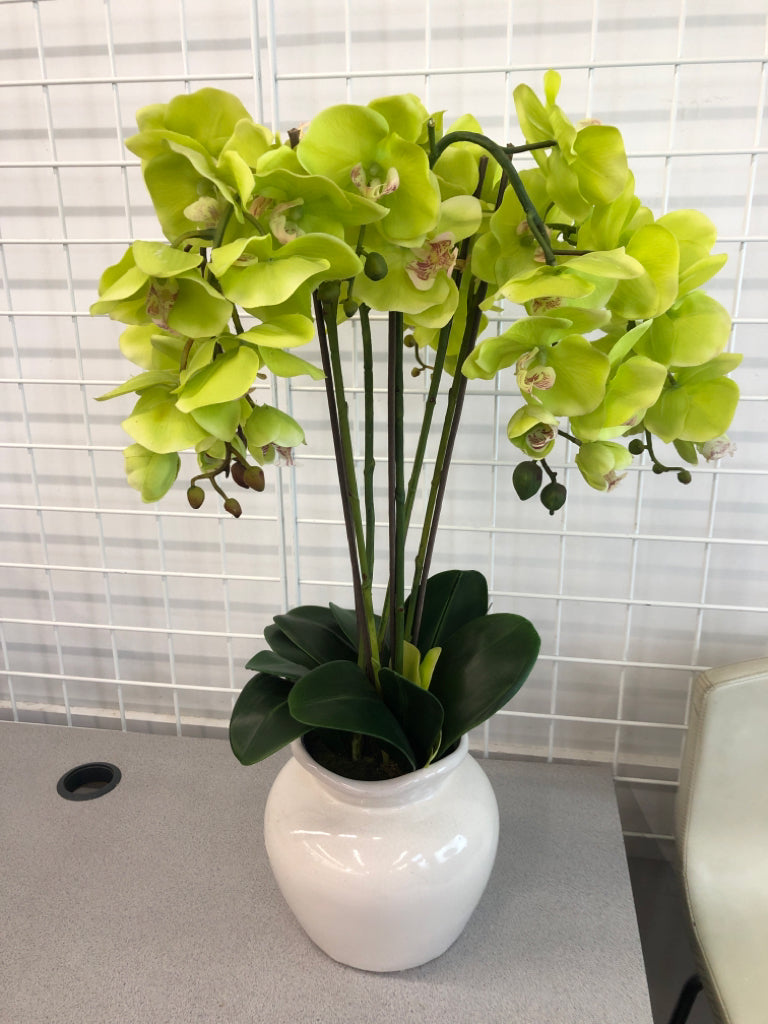 ORCHIDS IN WHITE CRACKLE POT.