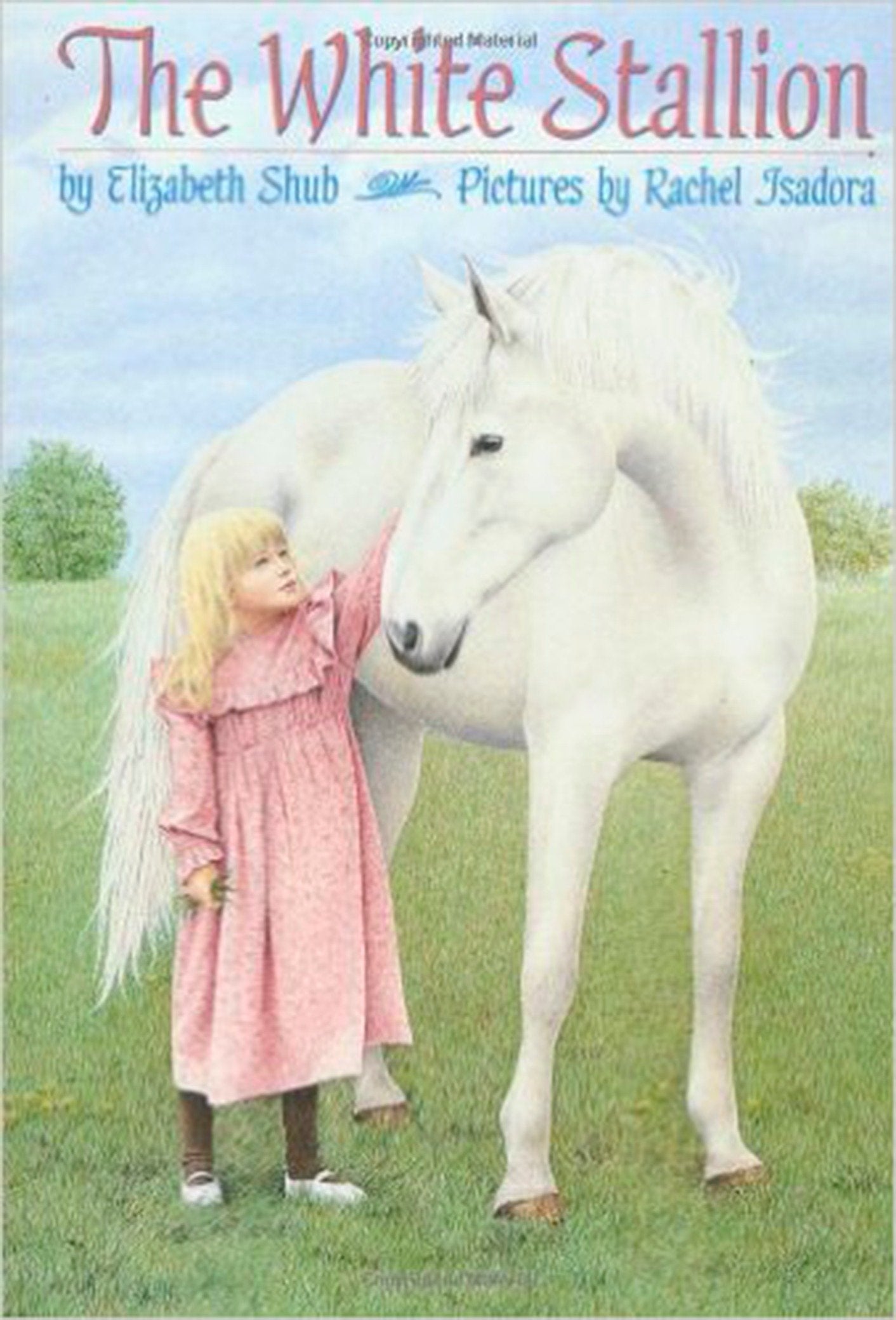 The White Stallion (Paperback) -