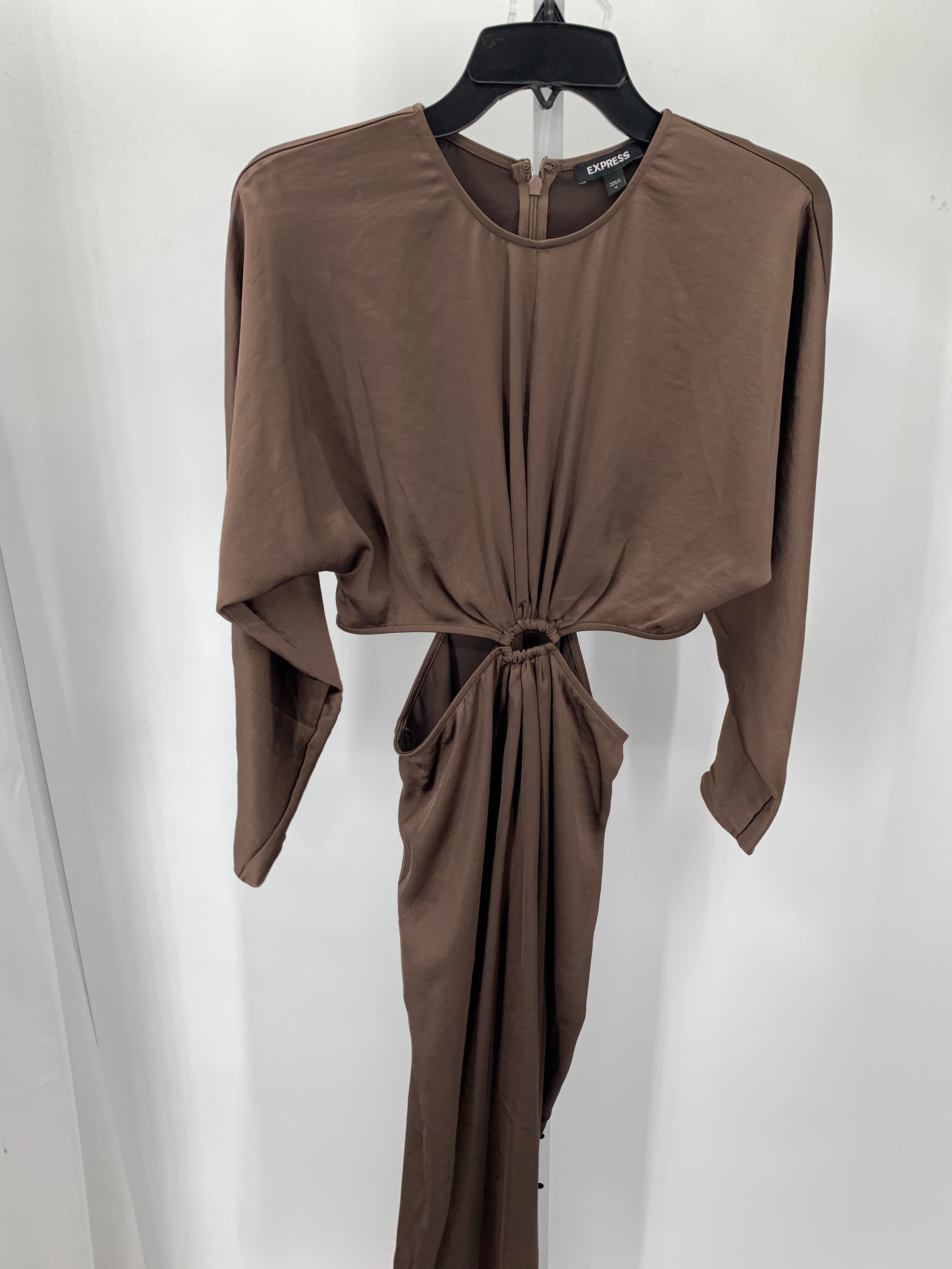 Express Size 4 Misses Long Sleeve Dress