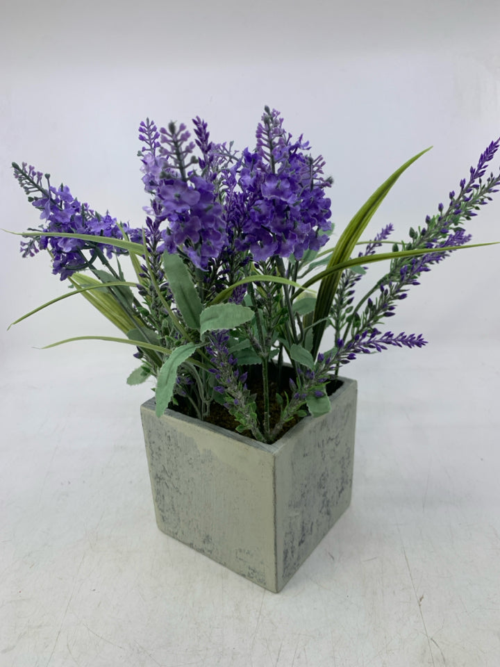 LAVENDER IN SQUARE PLANTER.