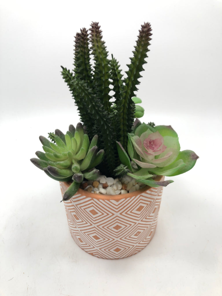 SUCCULENT & CACTUS WHITE/ORANGE GEOMETRIC POT.