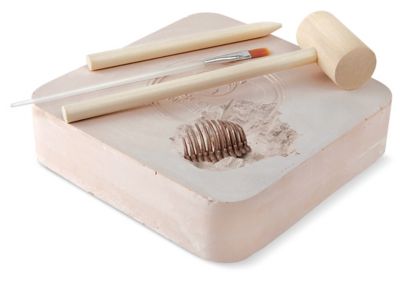 Discovery Mindblown 15 Piece 3D Dinosaur Excavation Kit -