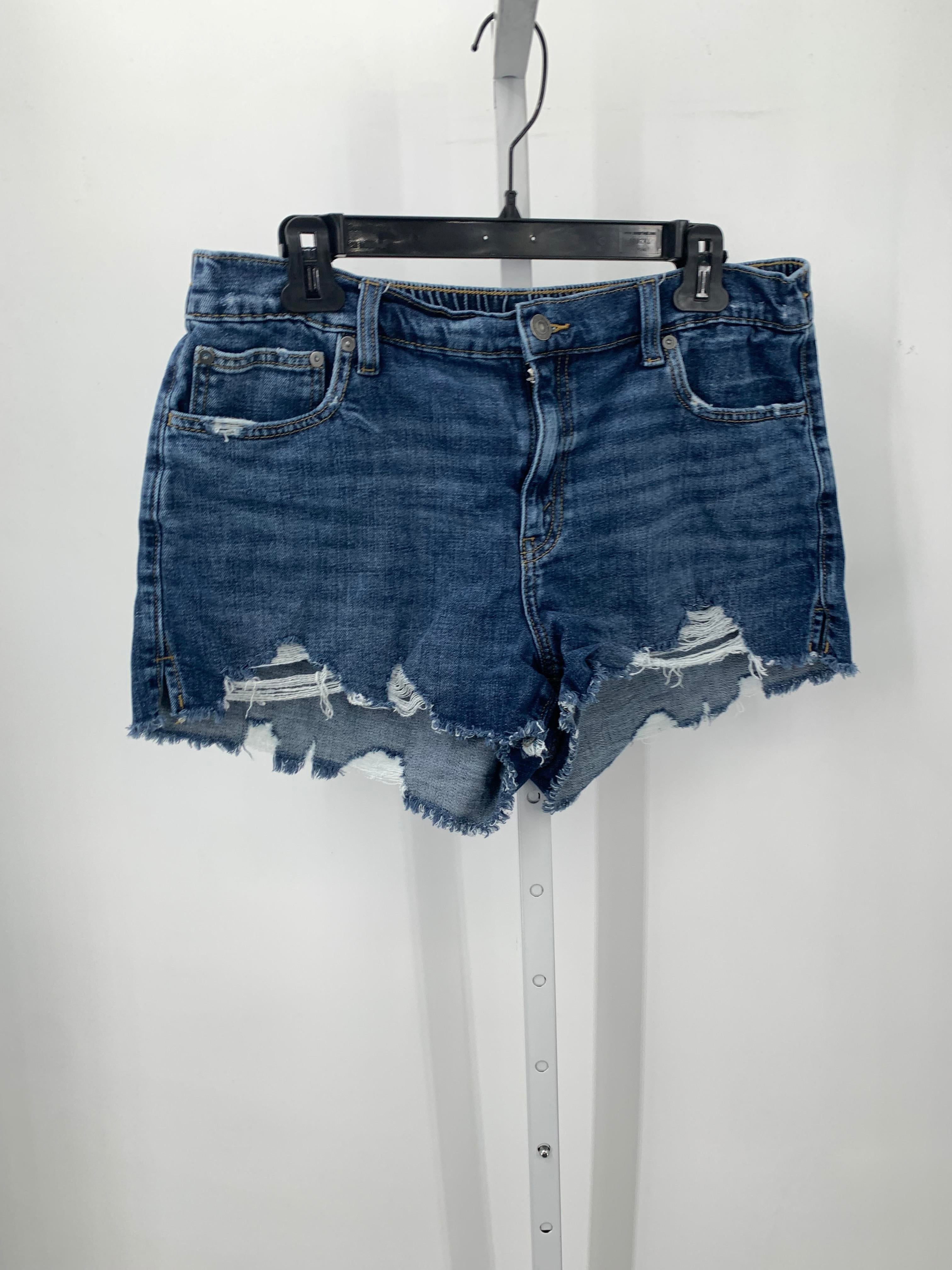Aerie Size Large Juniors Shorts