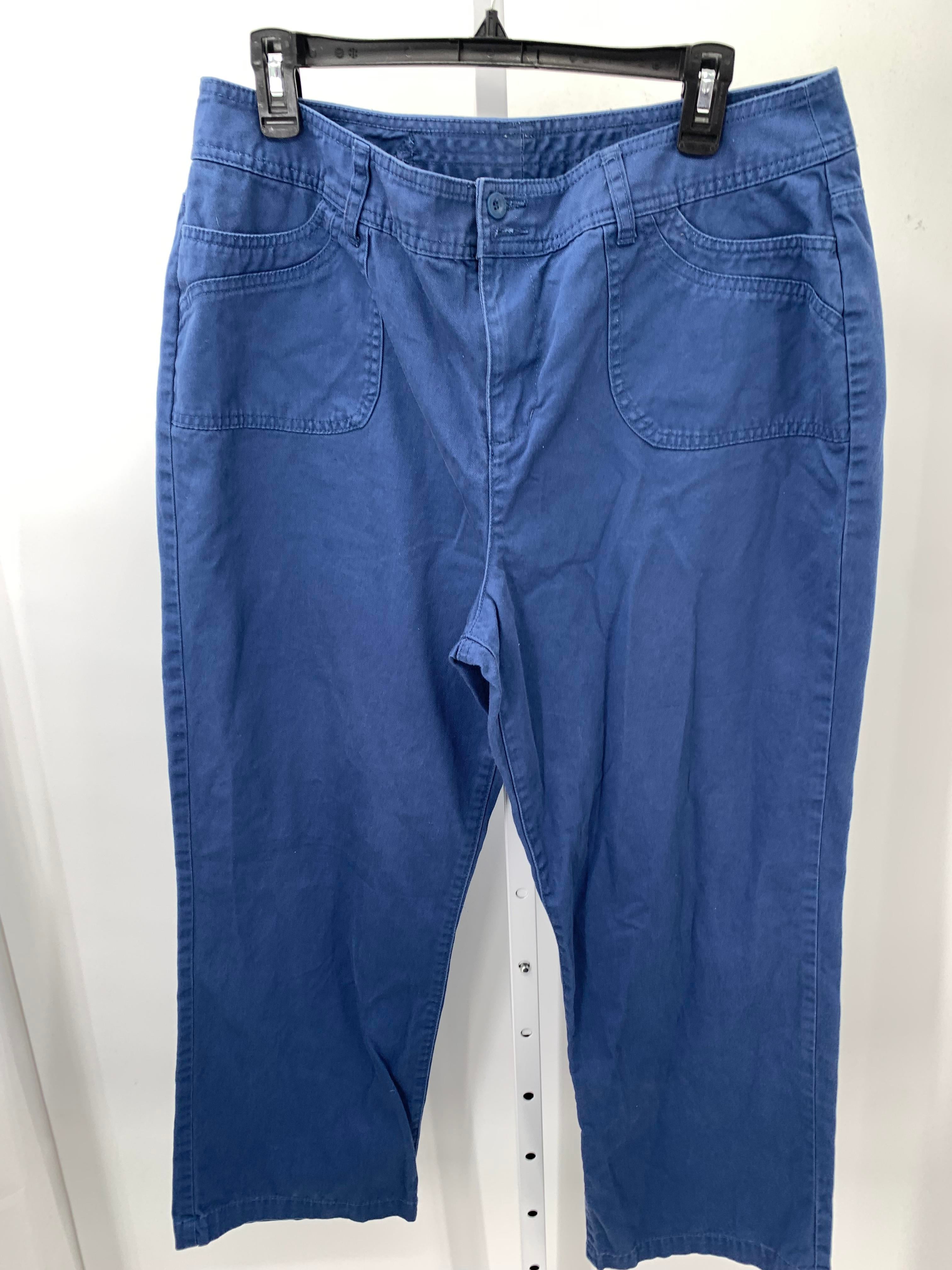 Christopher & Banks Size 16 Petite Petite Pants