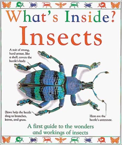Insects by Katy Pike (Hardcover) - Dorling Kindersley Publishing / DK Publishing