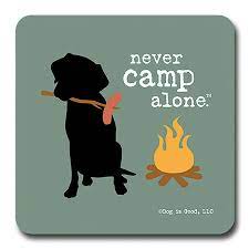 Never Camp Alone Coaster - Each