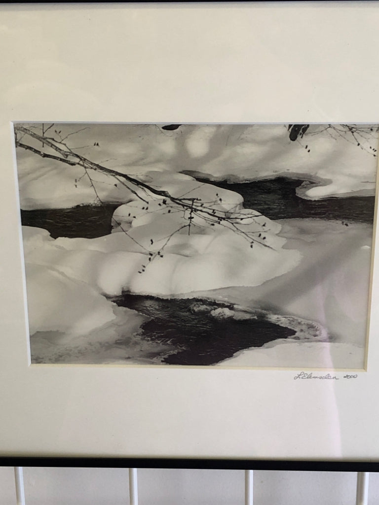 BRANCHES IN SNOW FRAMED PHOTO- SIGNED.