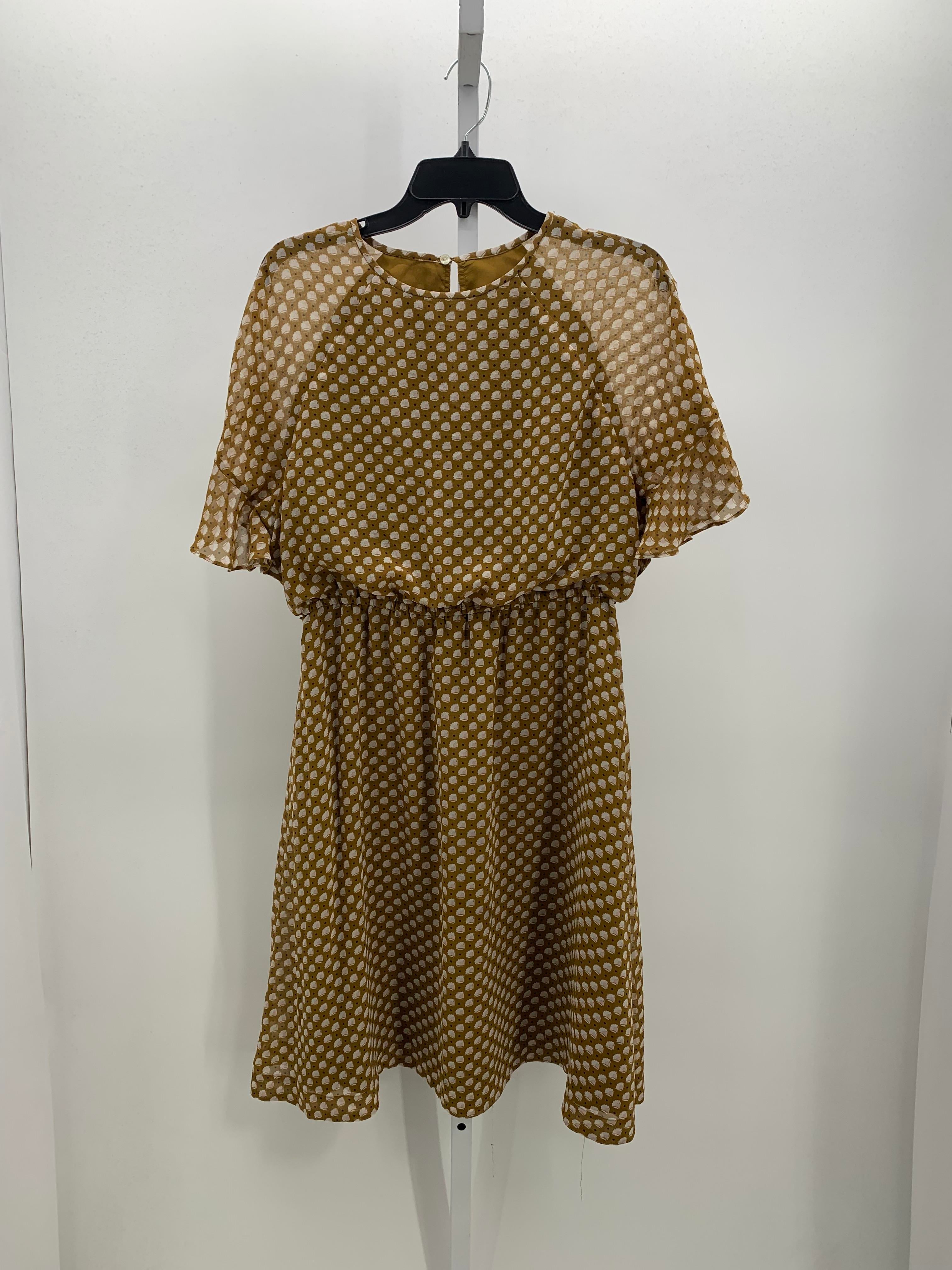 Loft Size Medium Misses Short Sleeve Dress