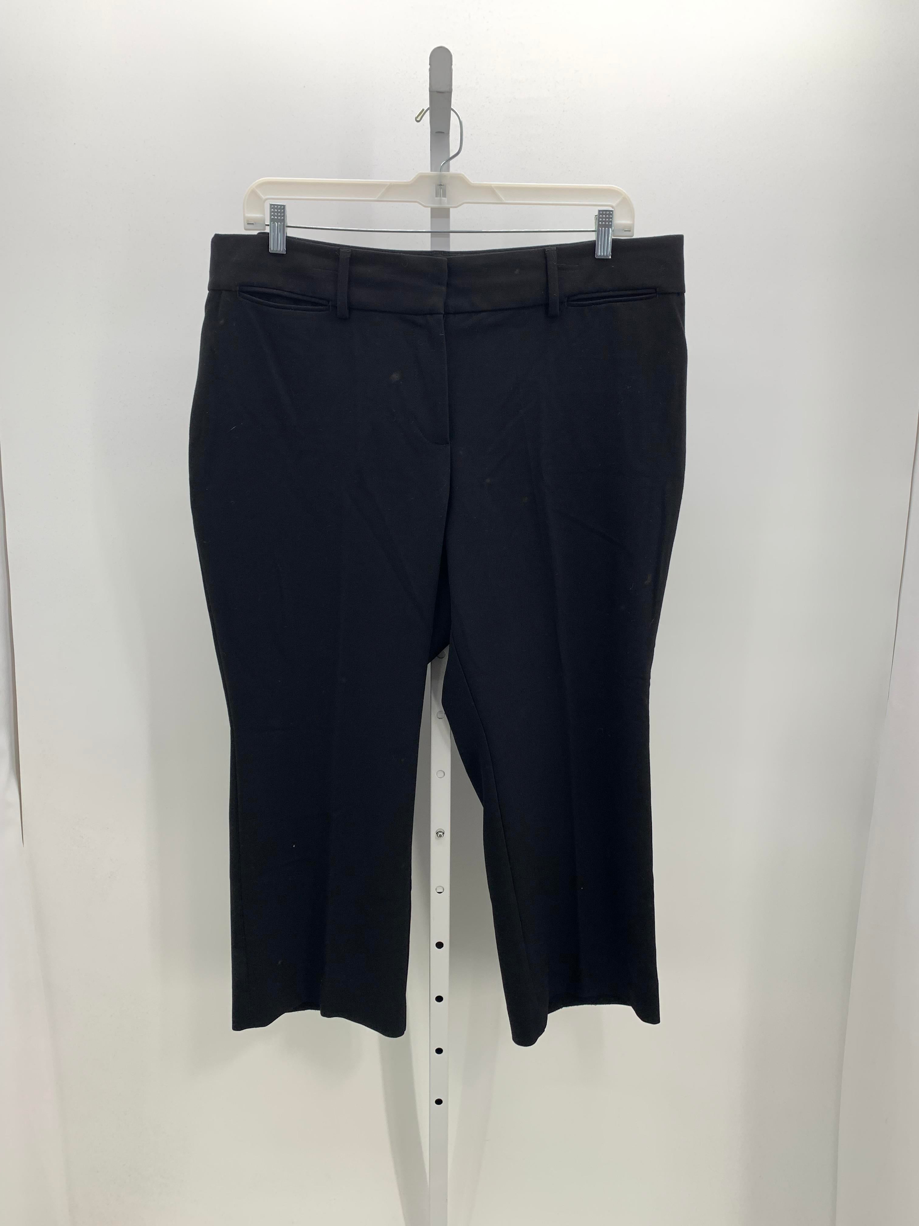 Loft Size 20WP Womens Pants