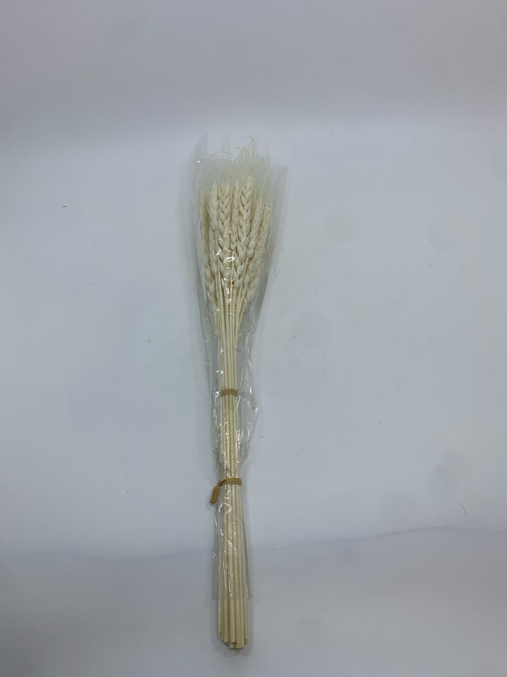 DRIED WHITE IVORY WHEAT STALKS.