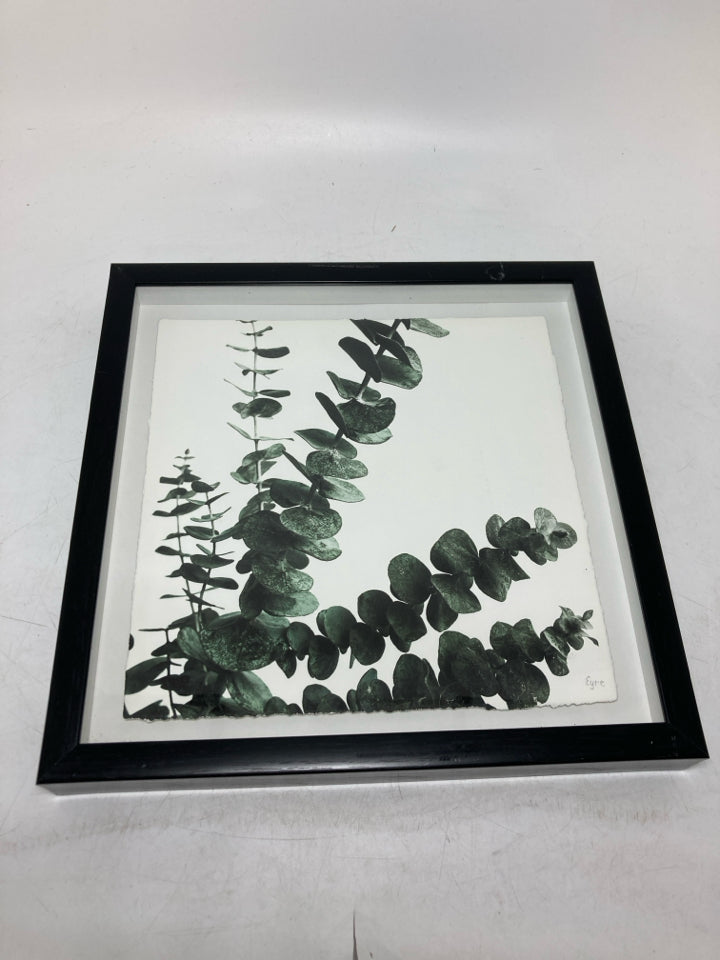 BLACK SHADOW BOX W/ LEAVES SQUARE WALL HANGING.
