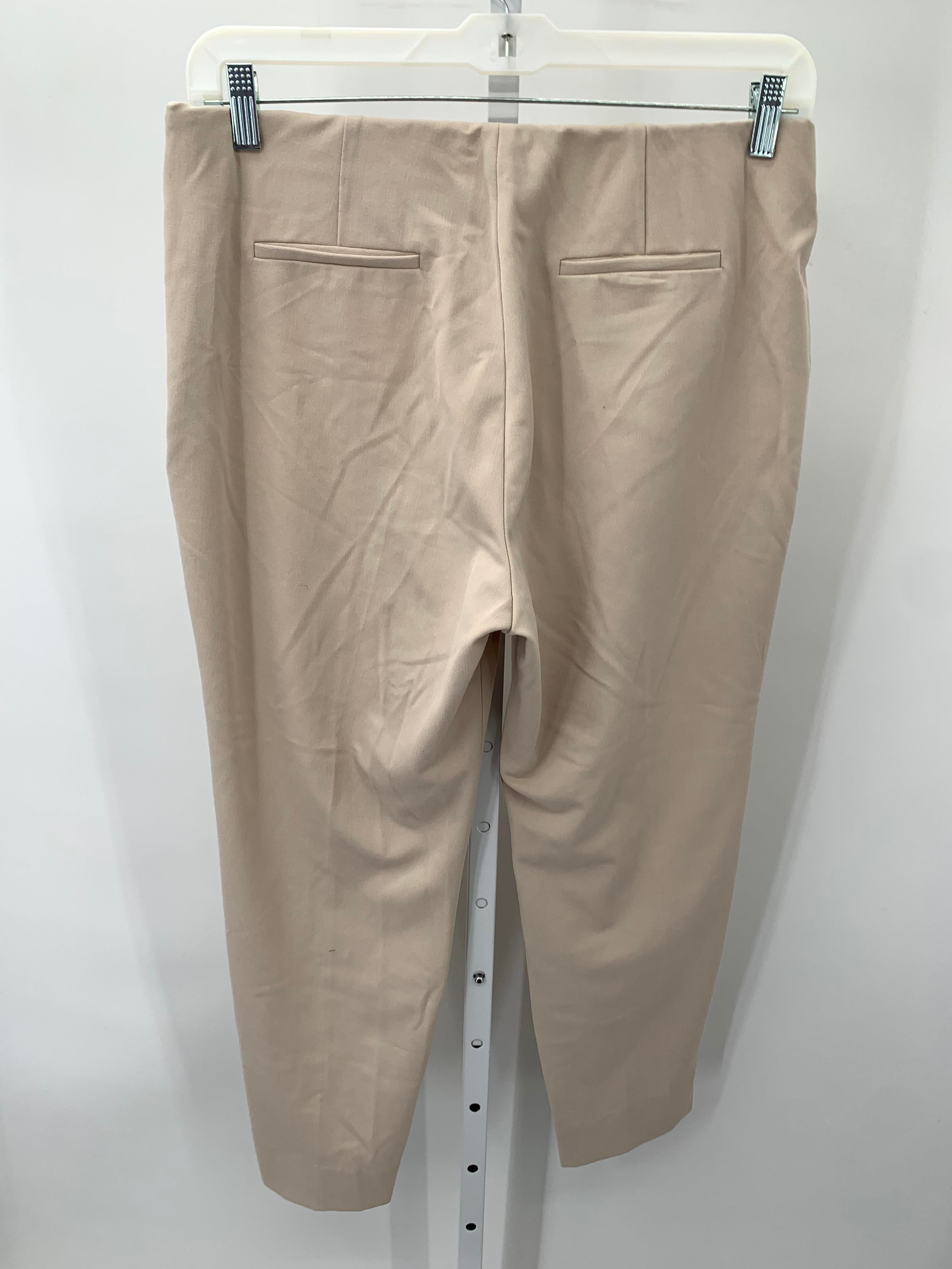 philosophy Size 14 Misses Pants