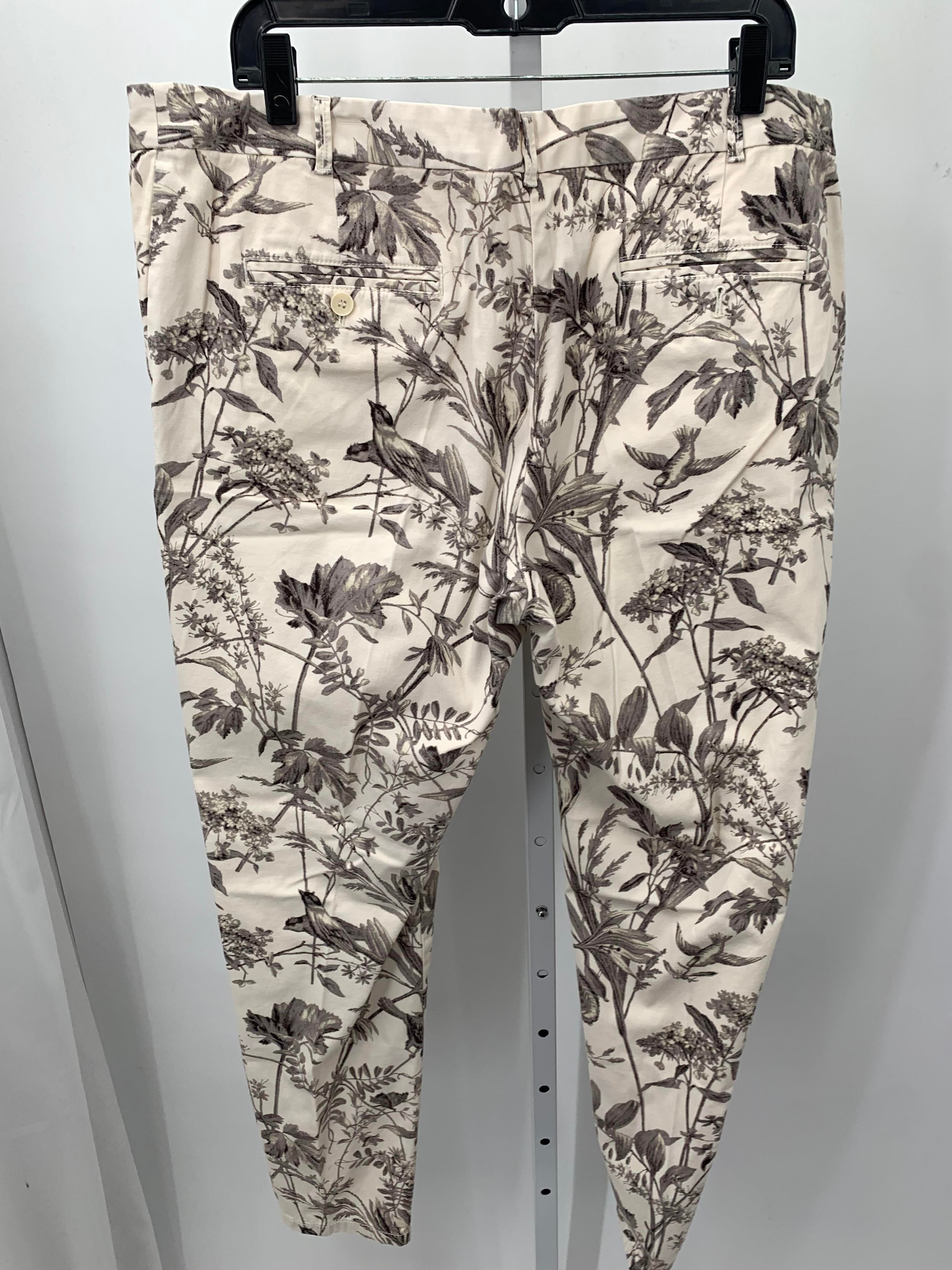 Talbots Size 16 Misses Pants