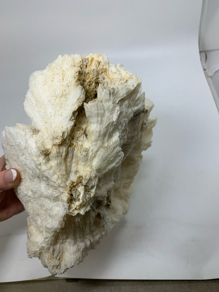LARGE WHITE PIECE OF DECORATIVE CORAL.