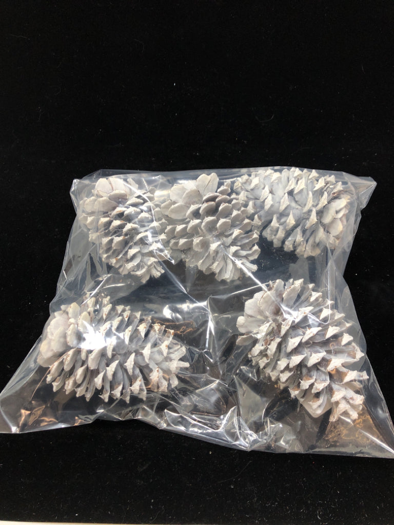 5 SM RUSTIC PINECONES.