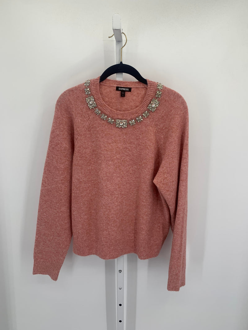 Express Size Medium Misses Long Slv Sweater